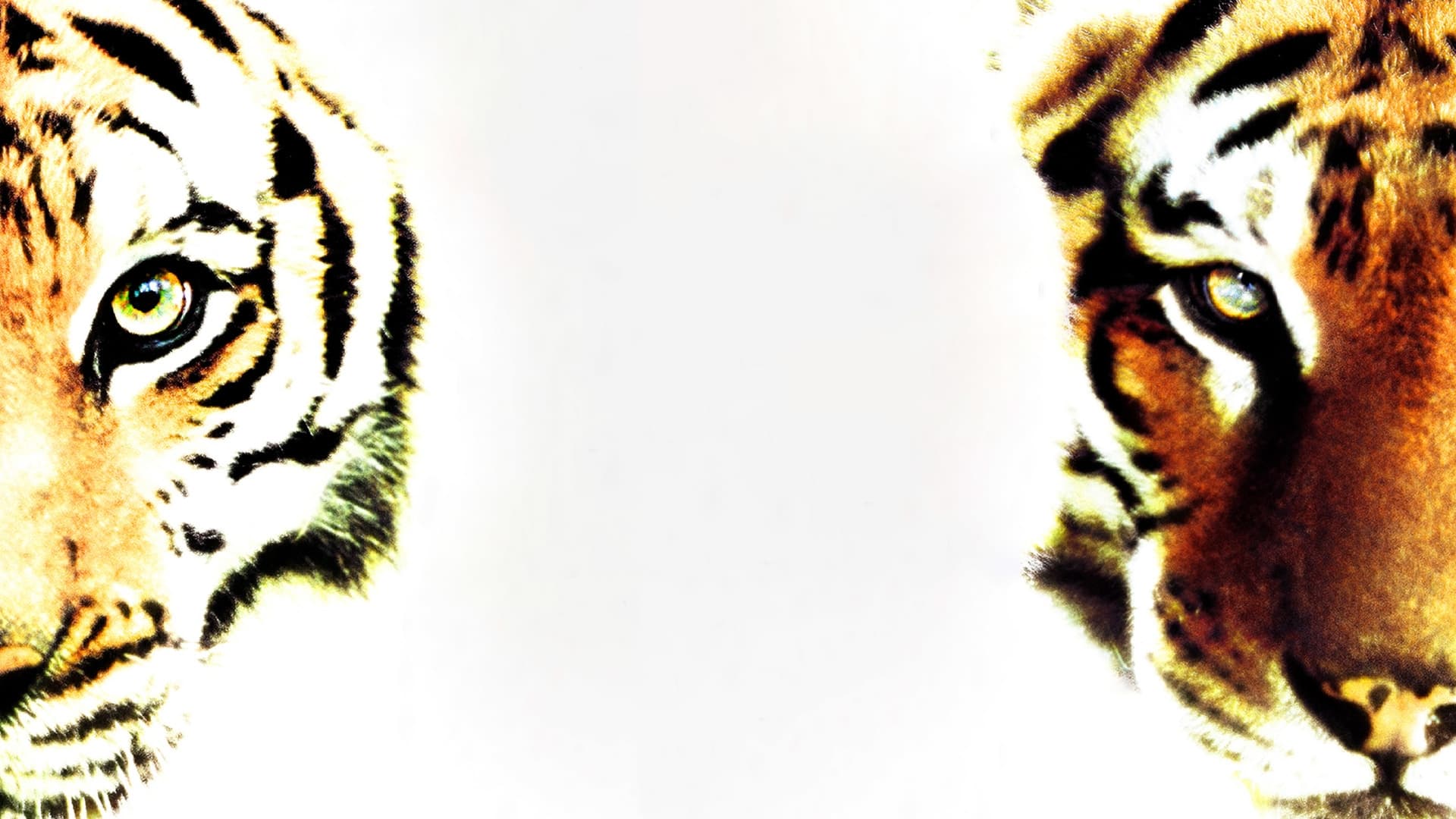 Two Brothers Background