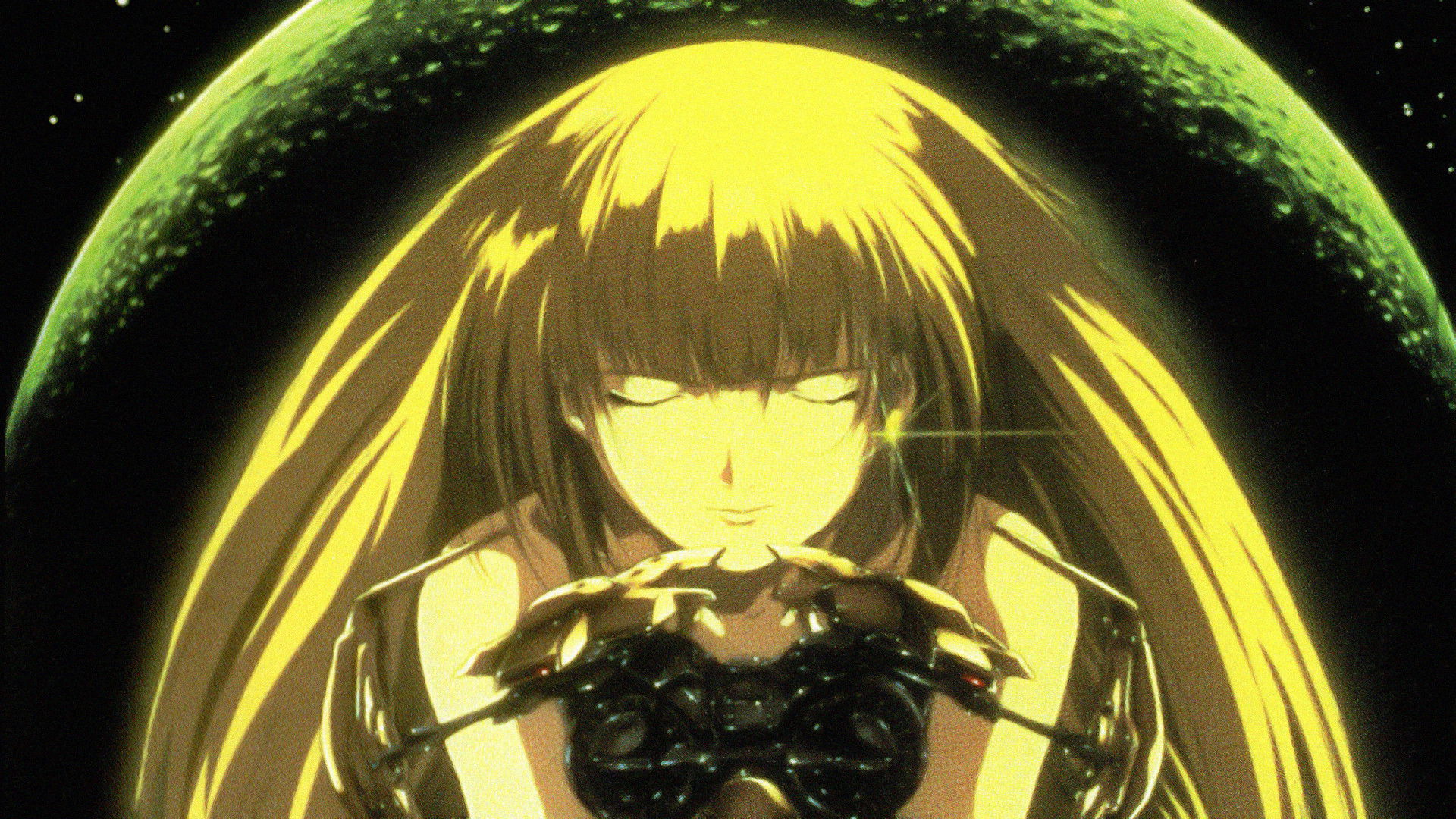 Bounty Dog Background