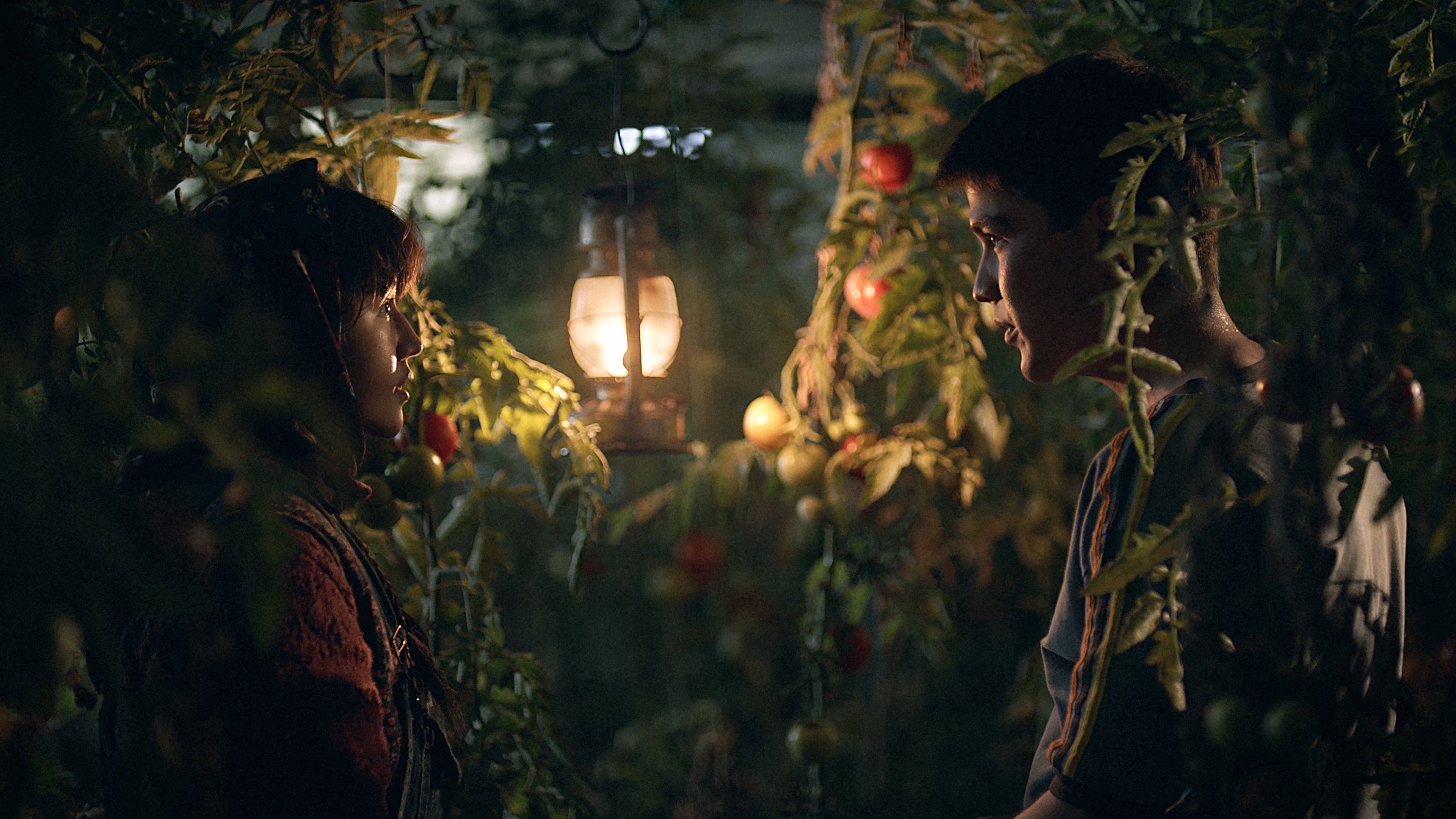 In the Land of Brothers Background