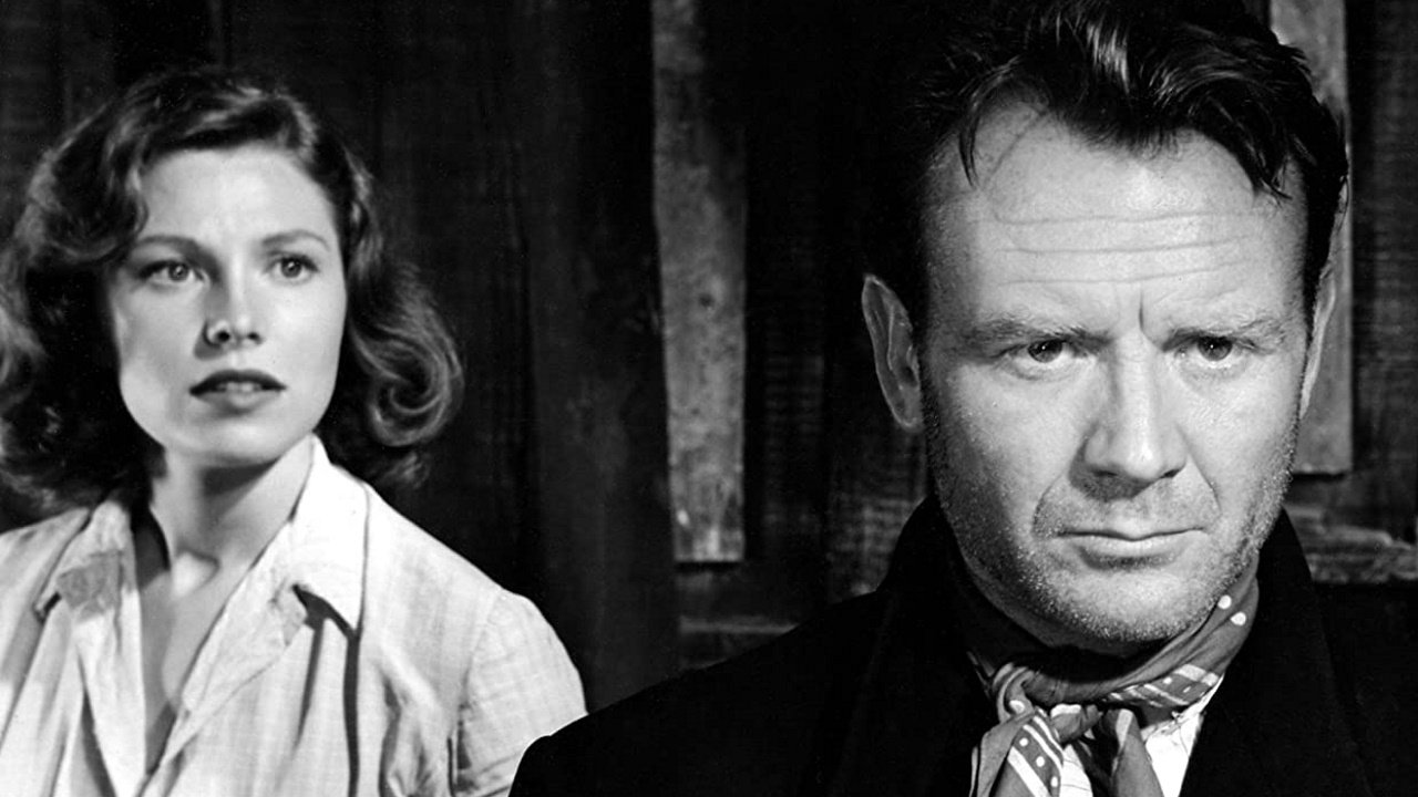 The Long Memory Background