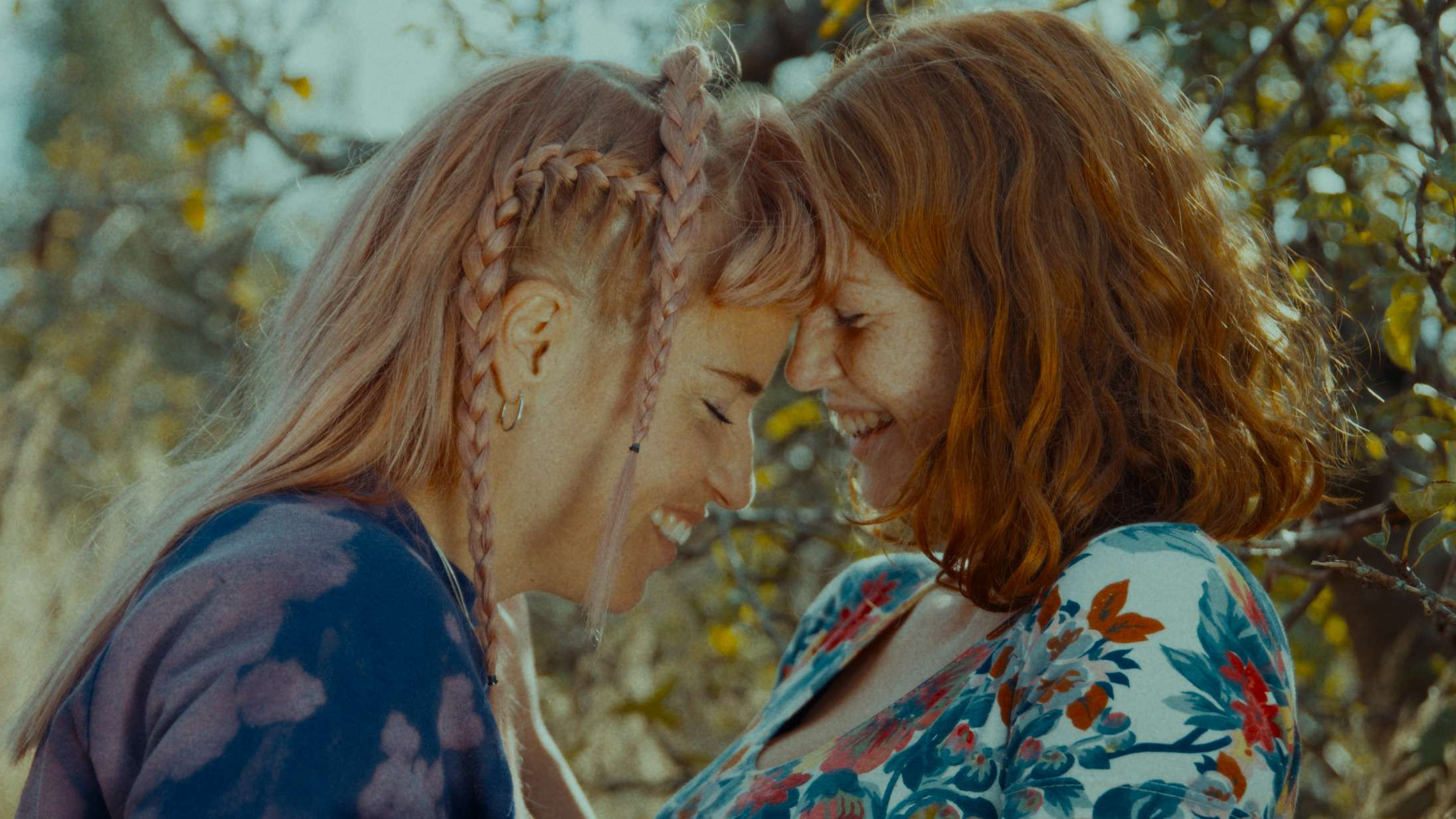 The Venus Effect Background