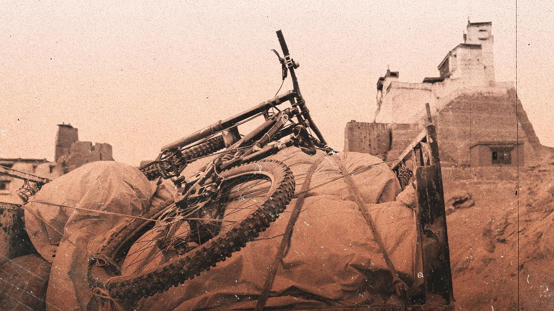 Accomplice Background