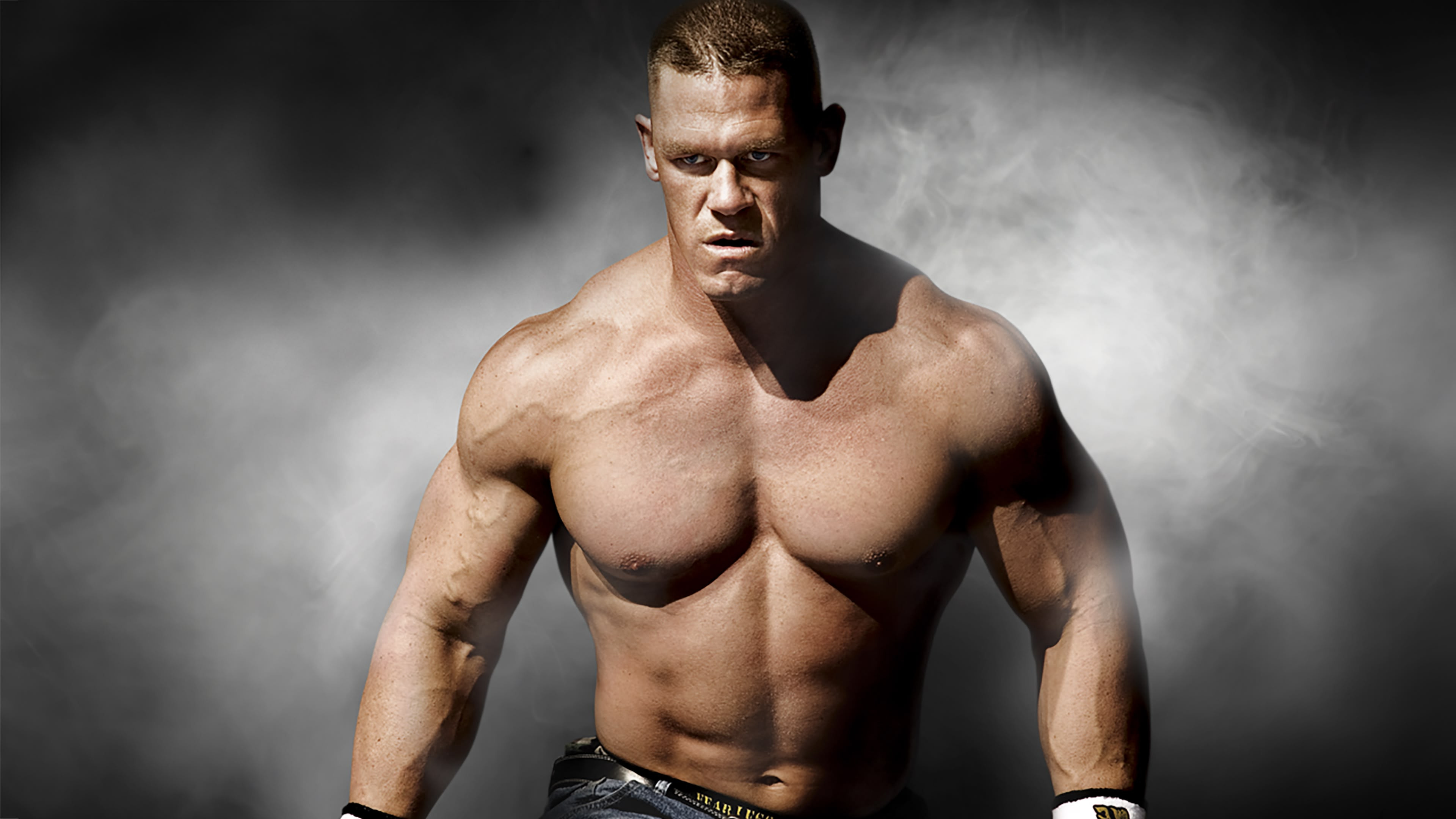 WWE Survivor Series 2008 Background