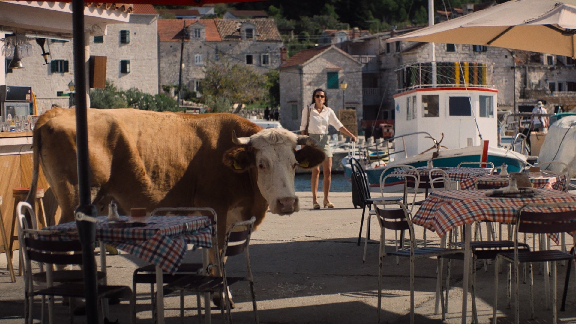 My Late Summer Background