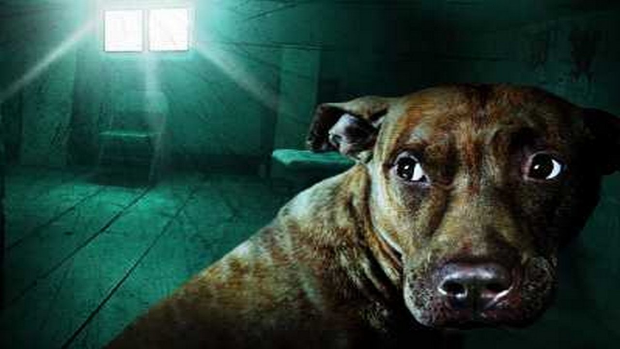 The Haunted Background