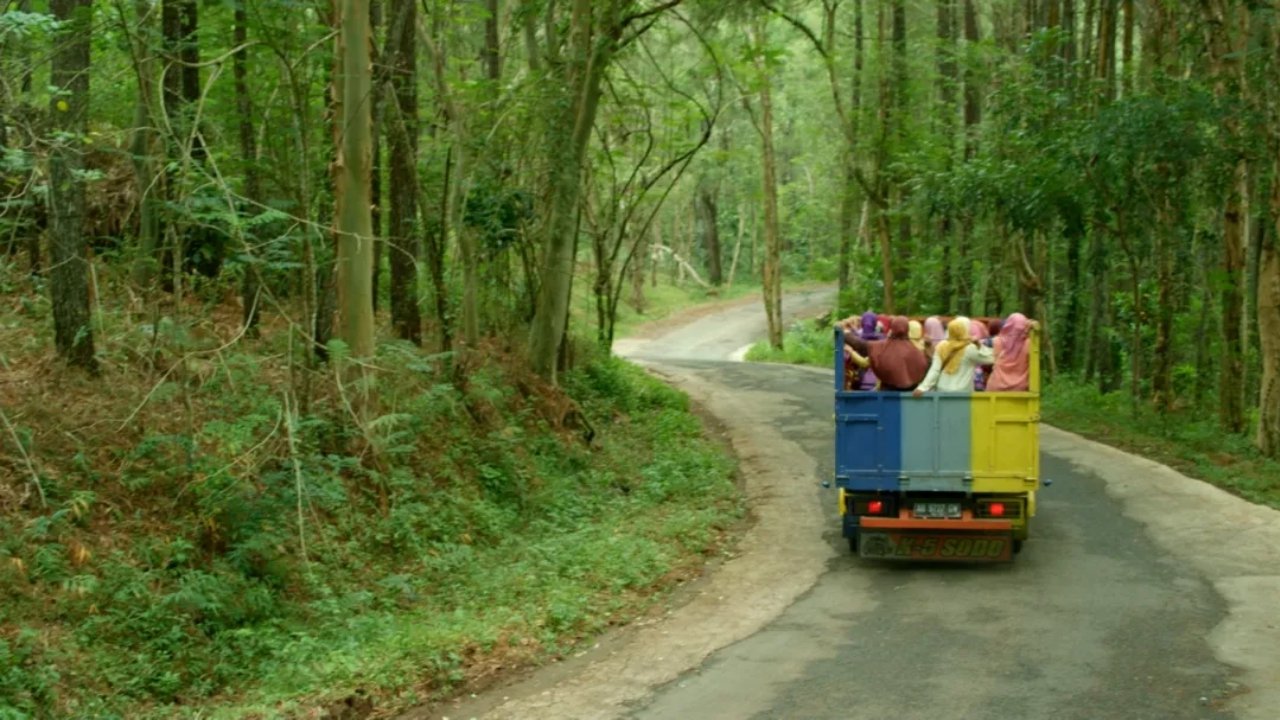 Ladies On Top Background