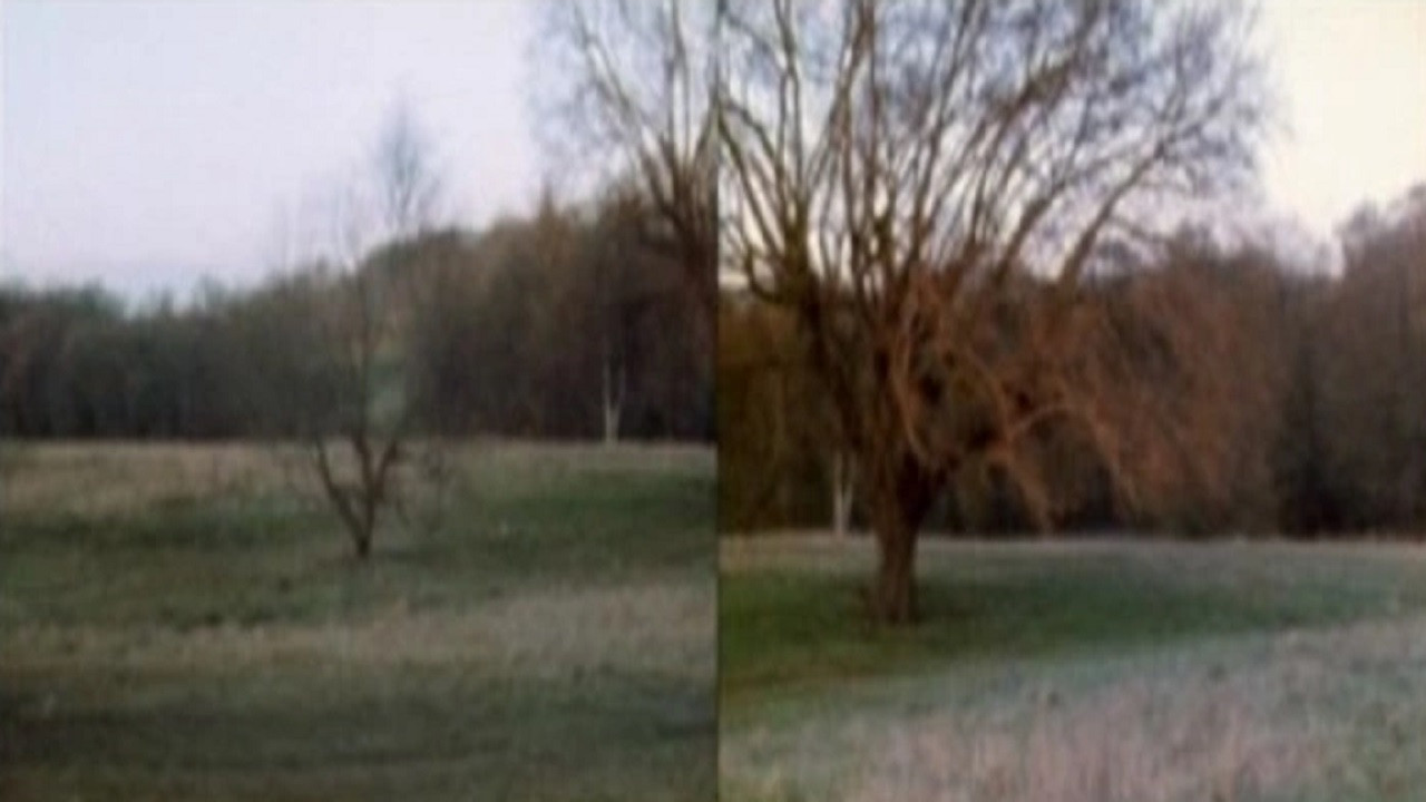 Wind Vane Background