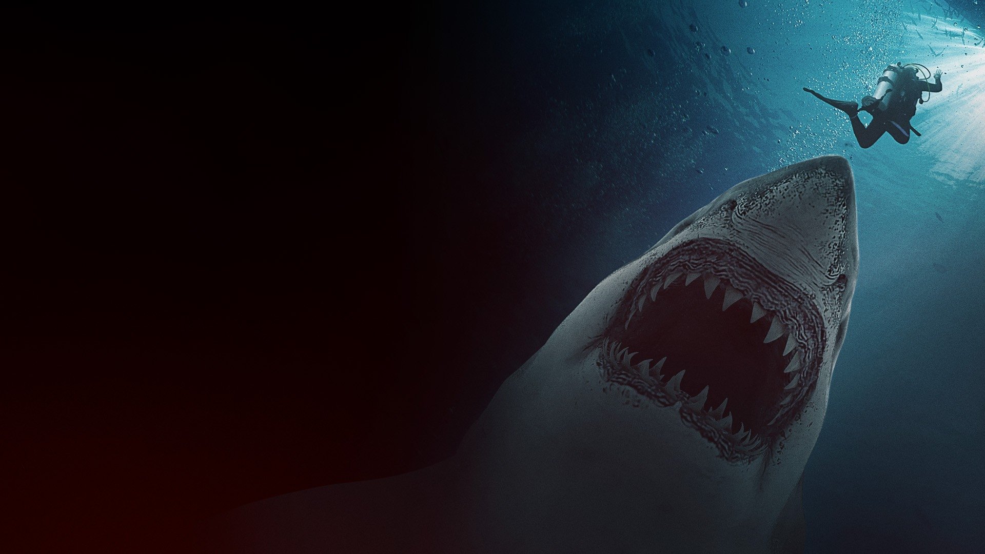 Great White Waters Background
