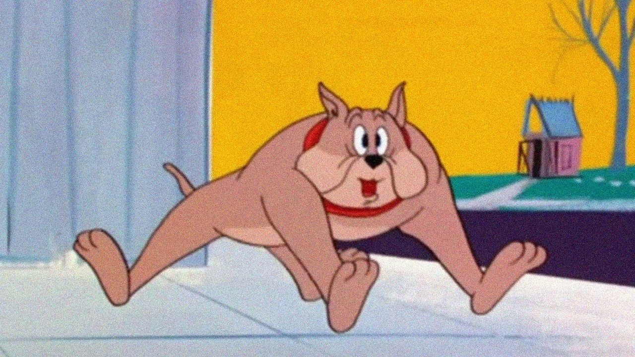 Give and Tyke Background