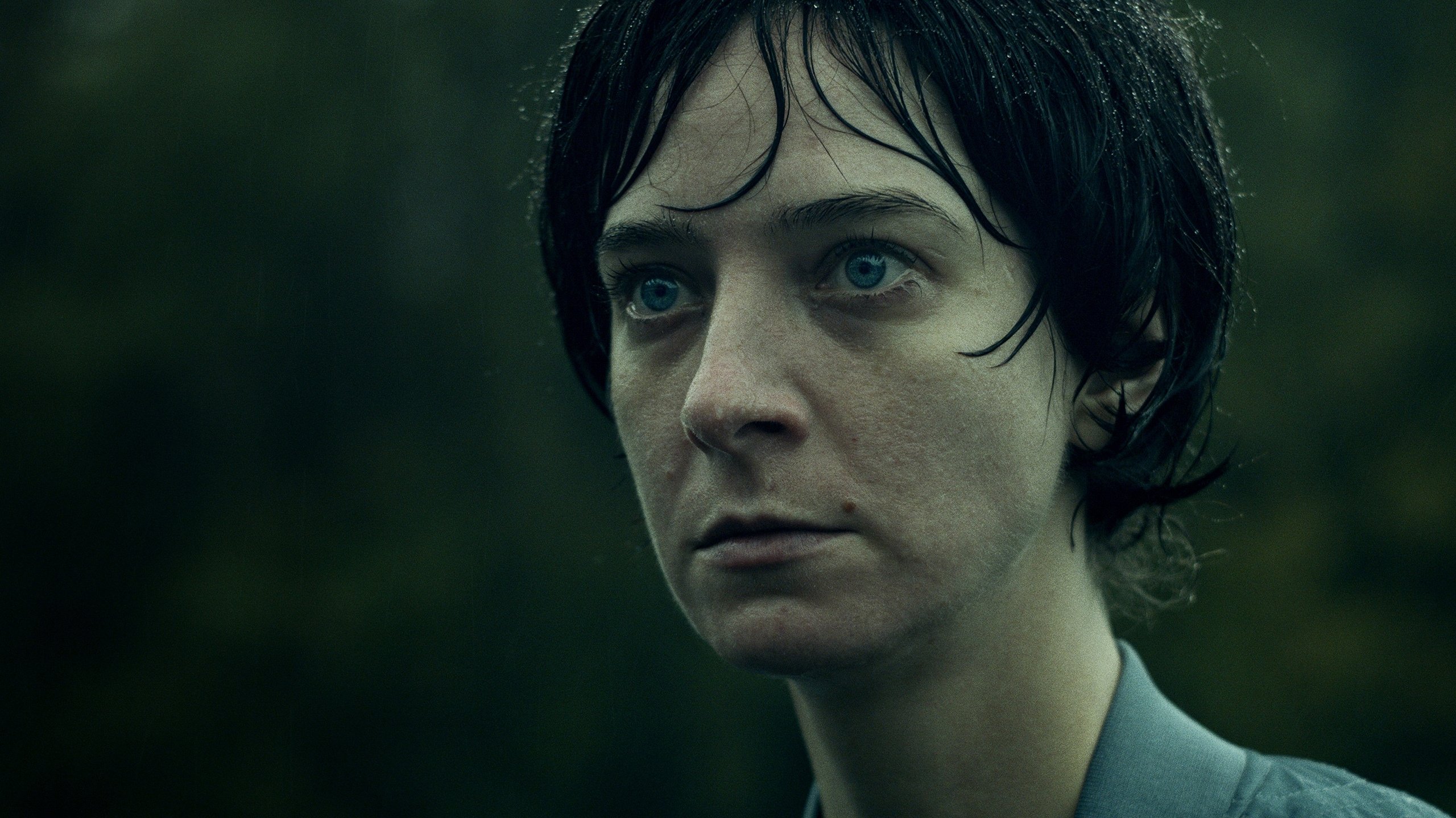 Violation Background