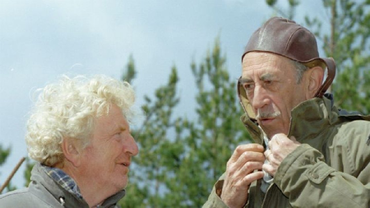 Rozmowy przy wycinaniu lasu Background