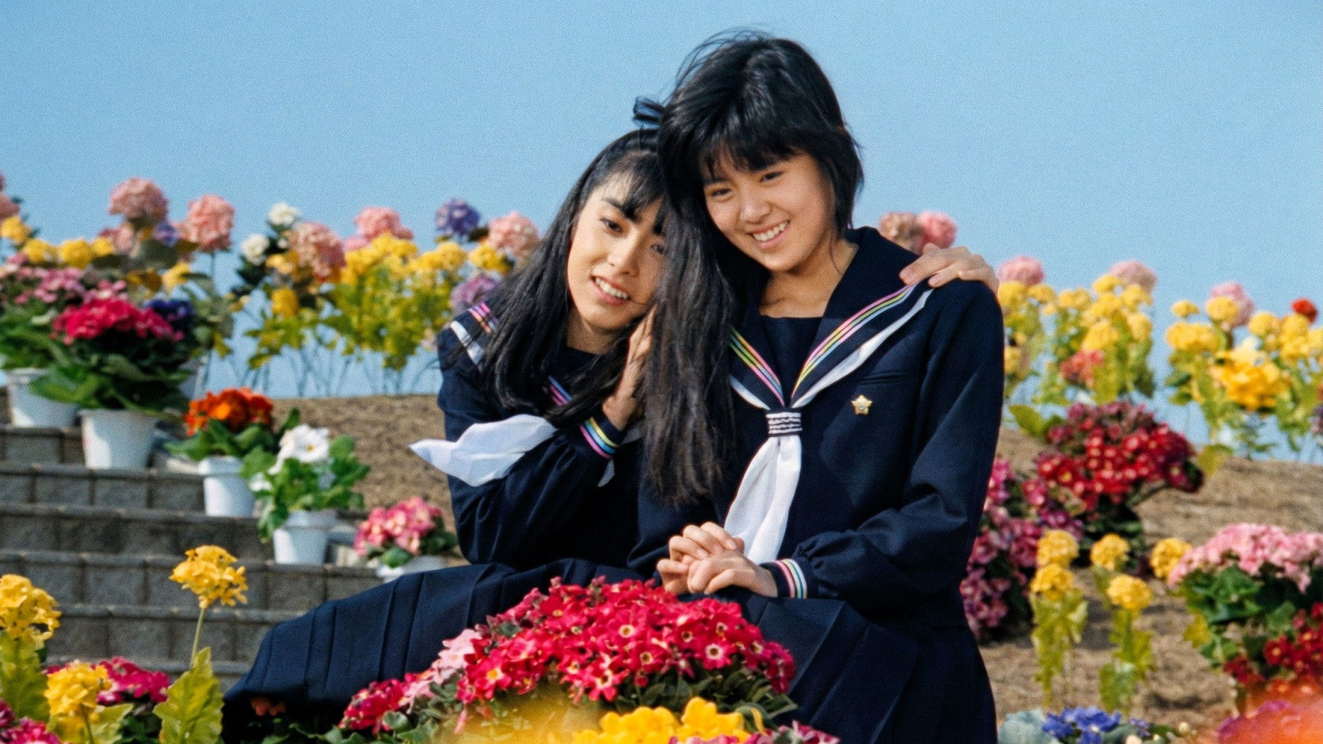 The Maidens of Aries Background