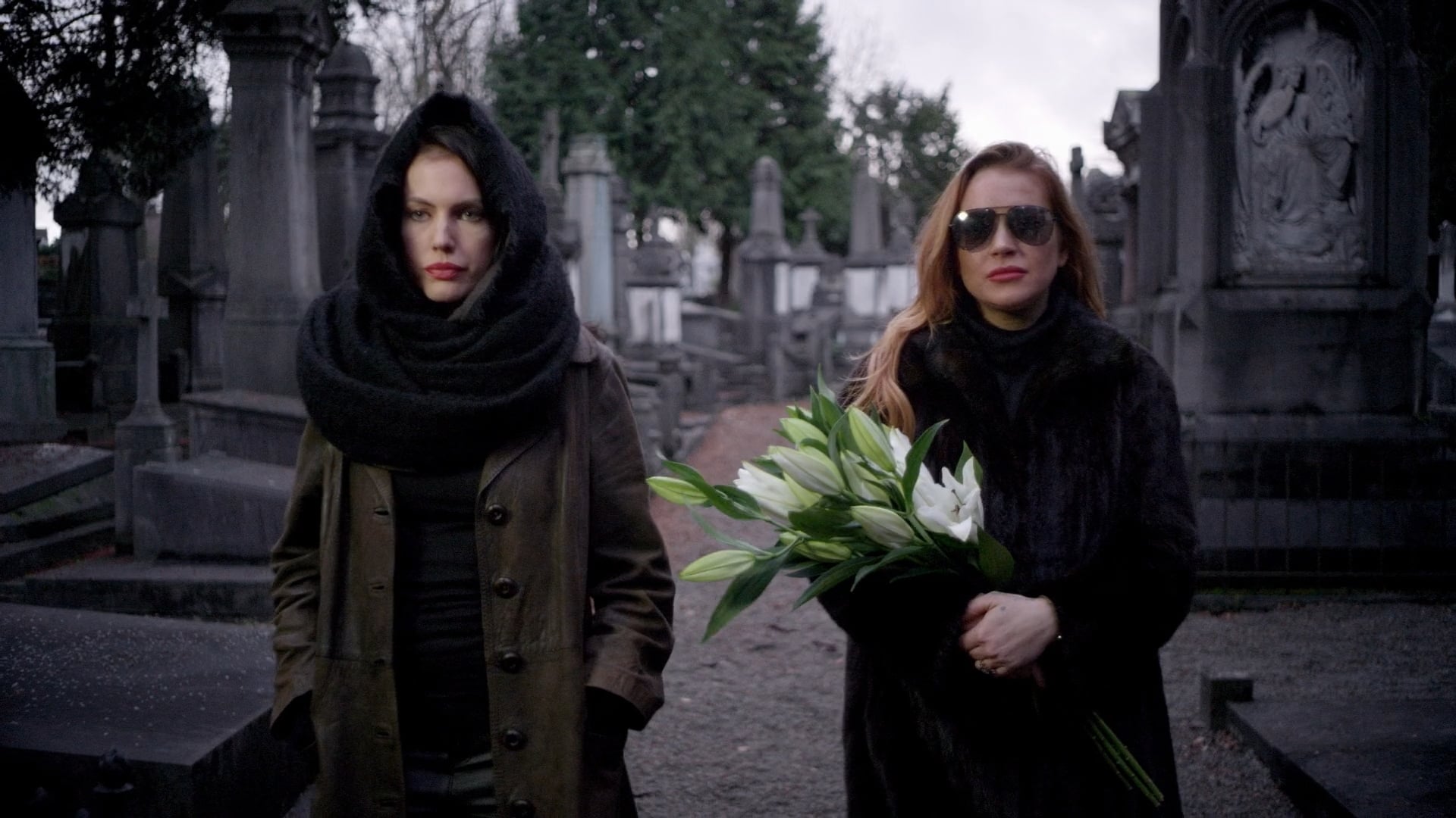 Among the Shadows Background