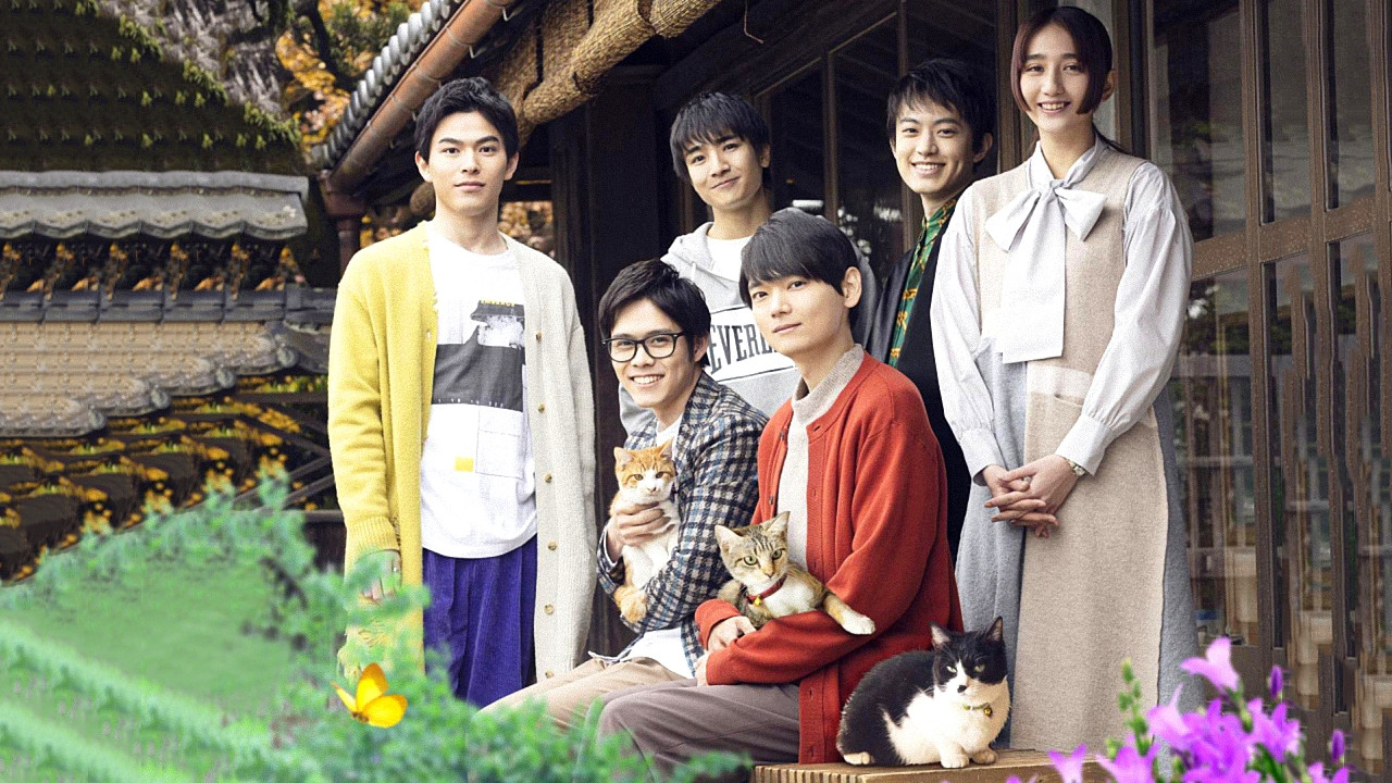 Cat Sharehouse Background