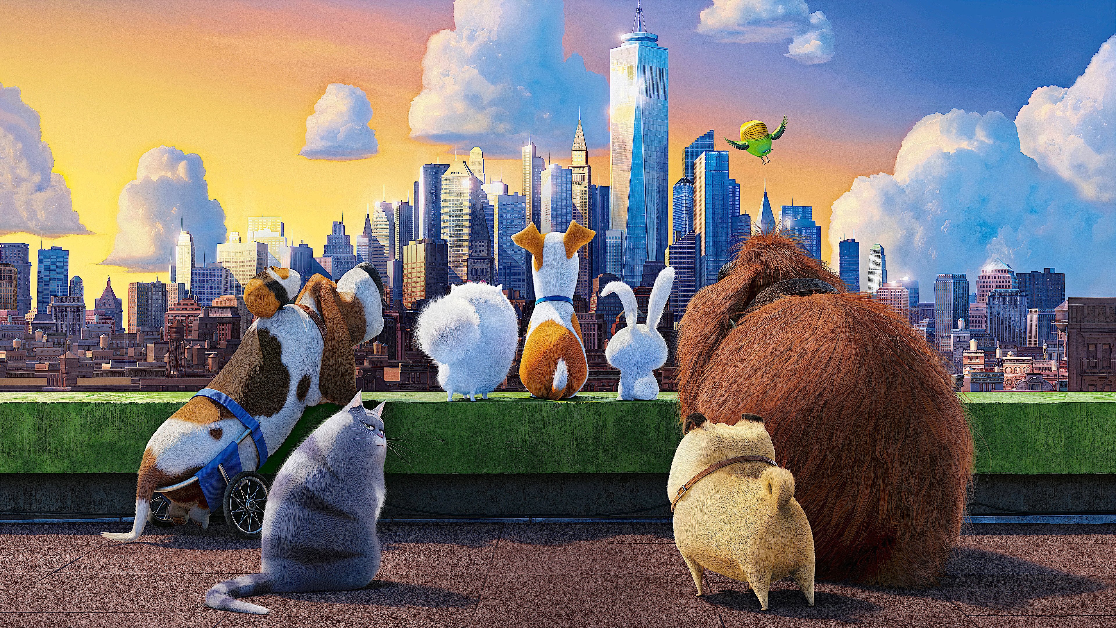 The Secret Life of Pets Background