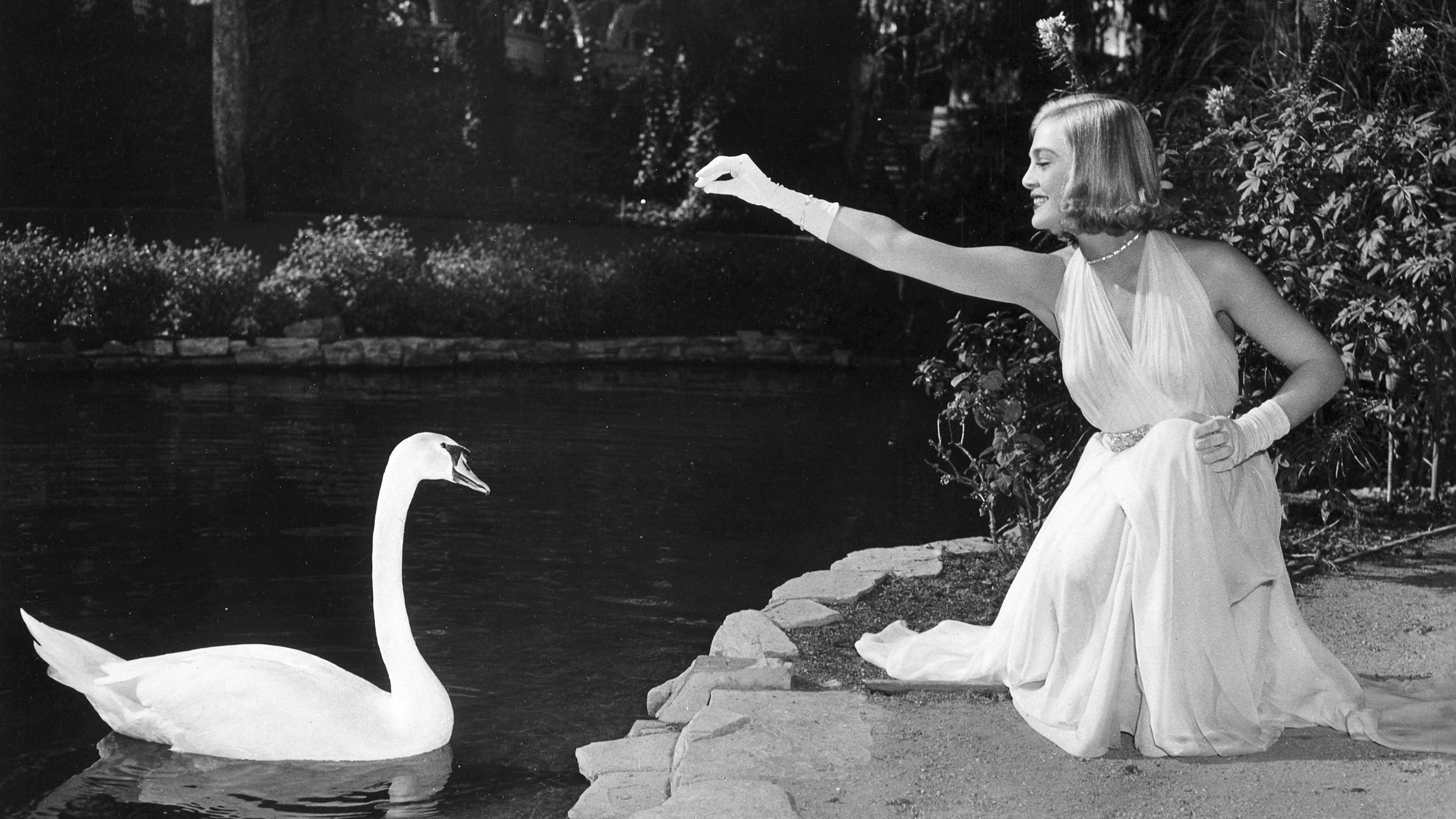 Paid in Full Background