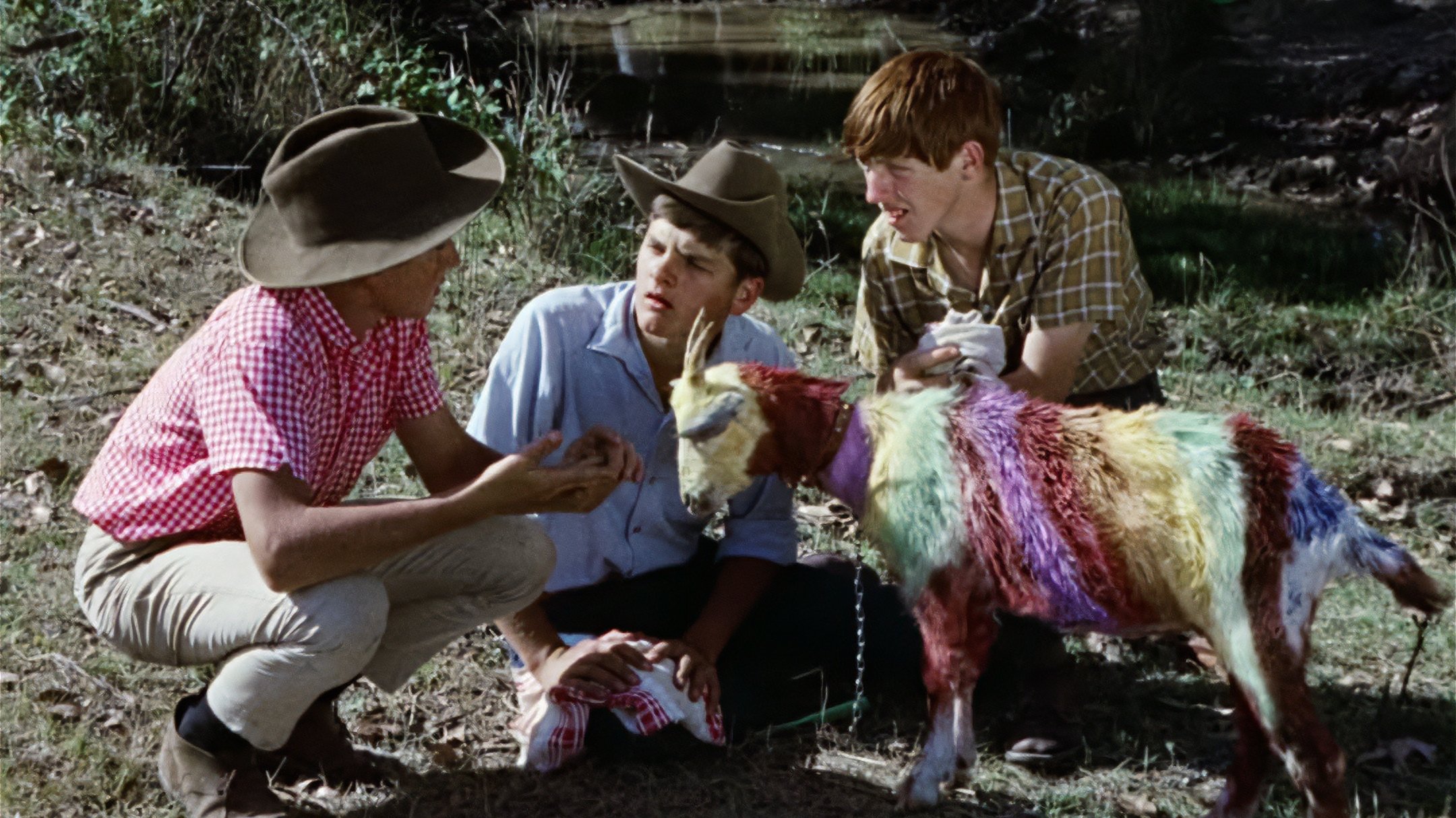 Funny Things Happen Down Under Background