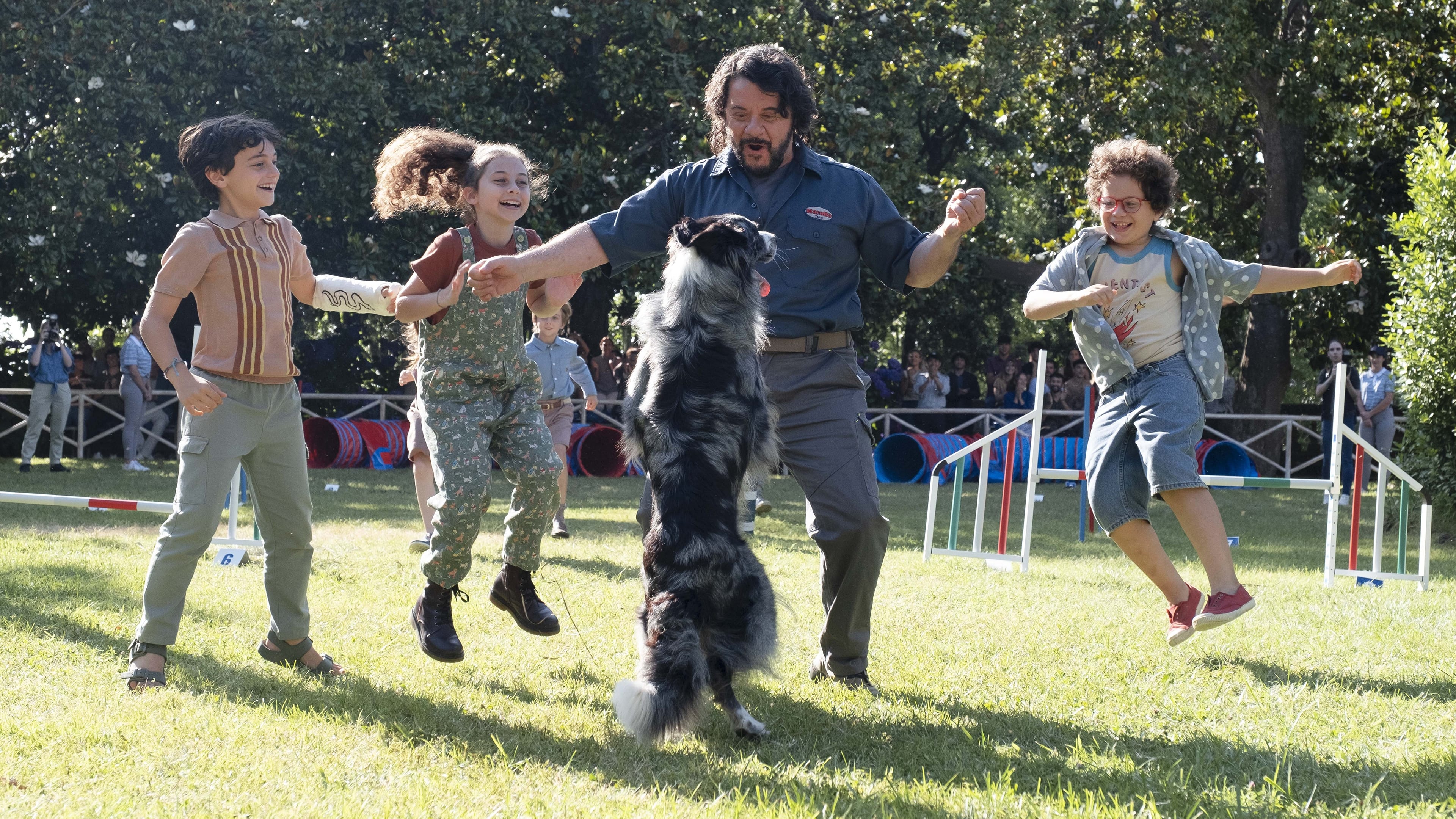 The Trainers Background