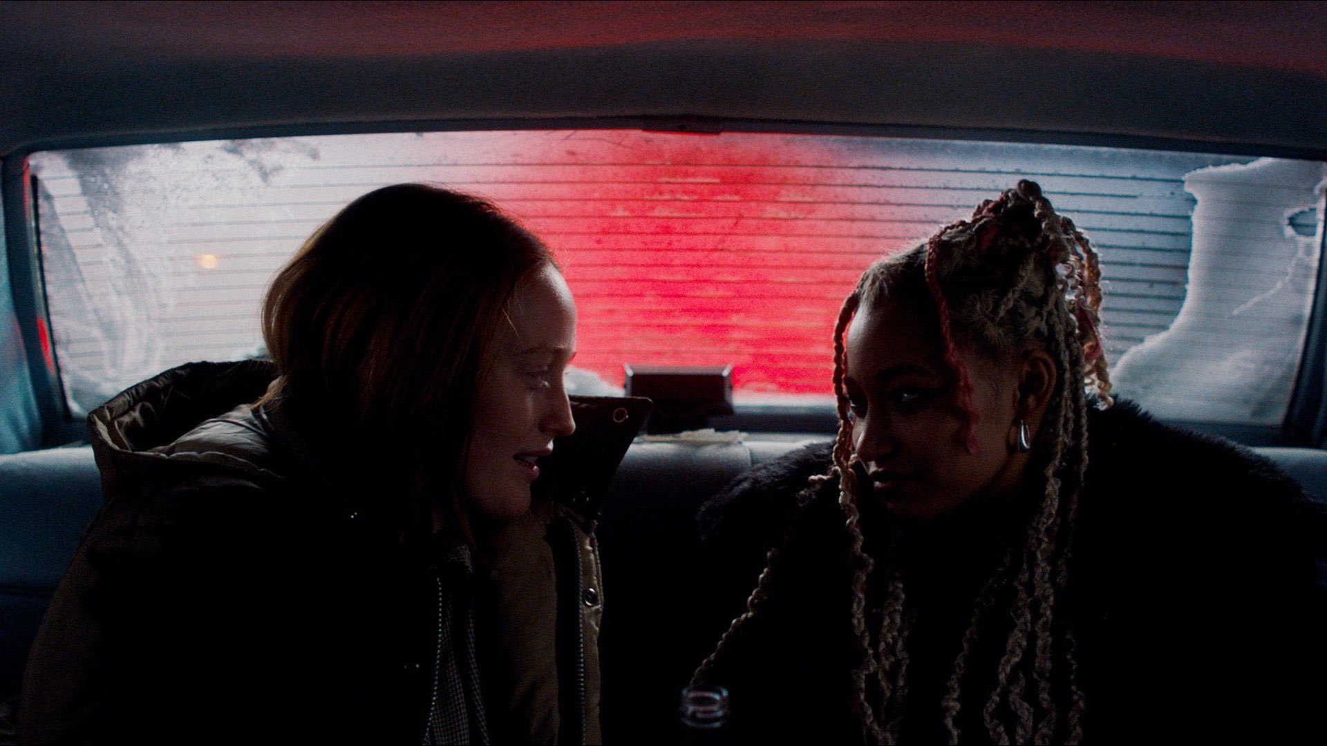 My Animal Background