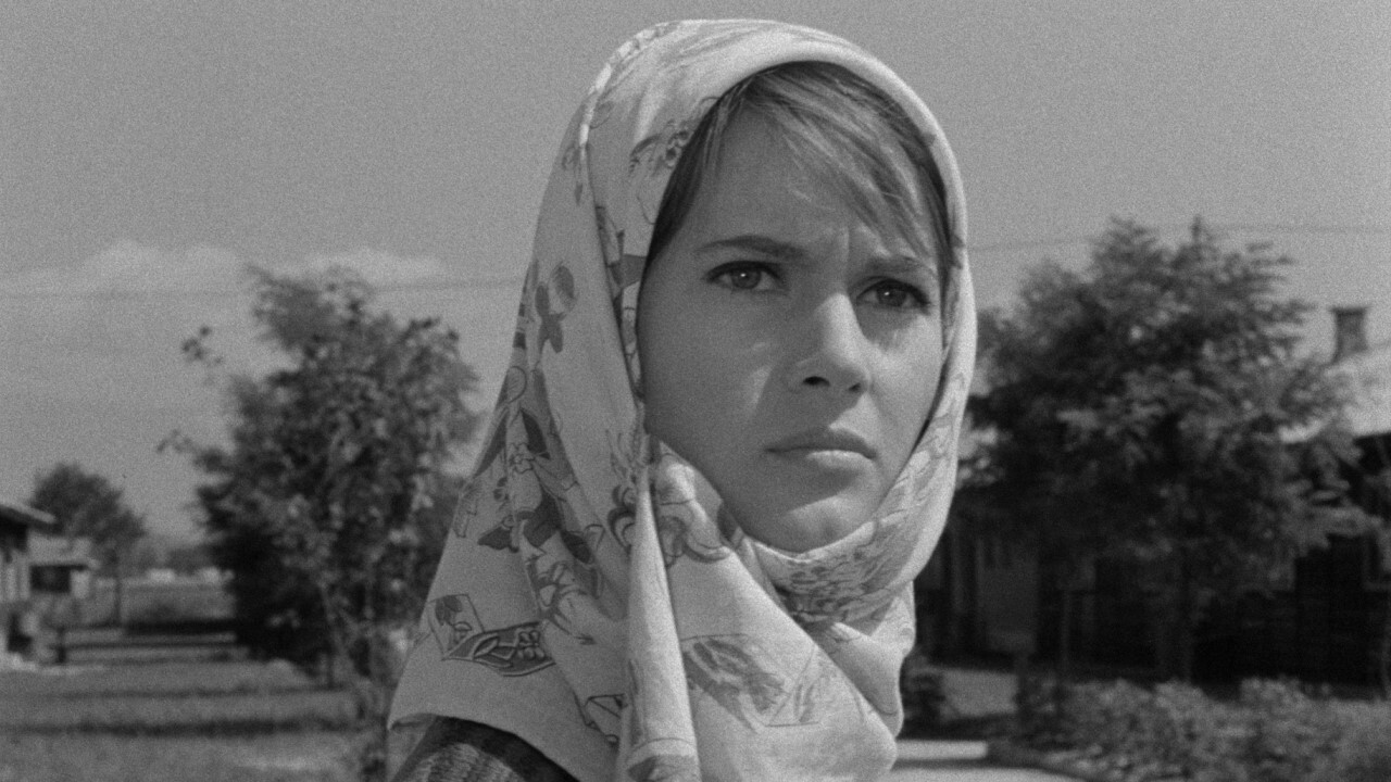 Don't Come Back by the Same Way Background