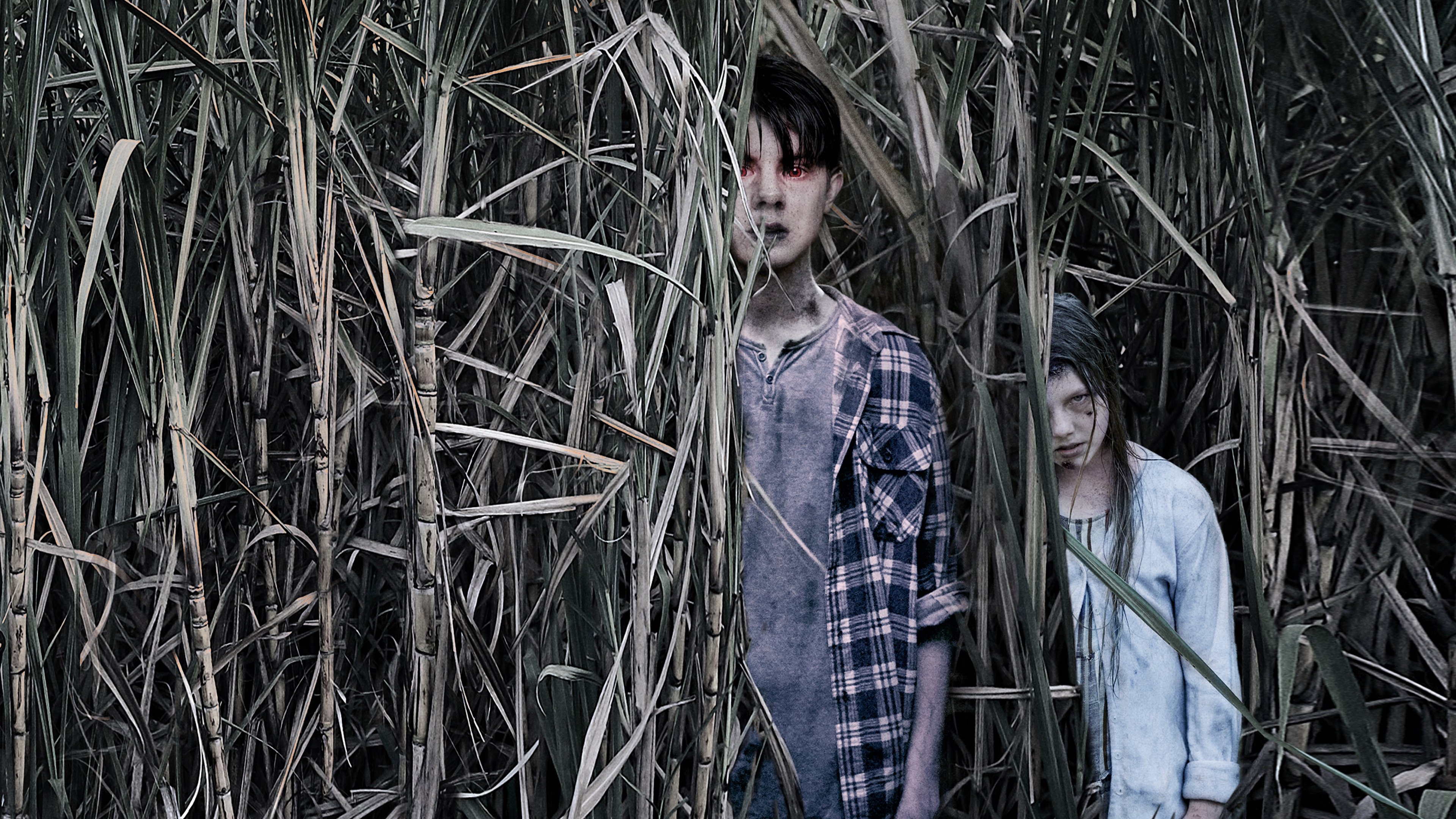 Sweet River Background