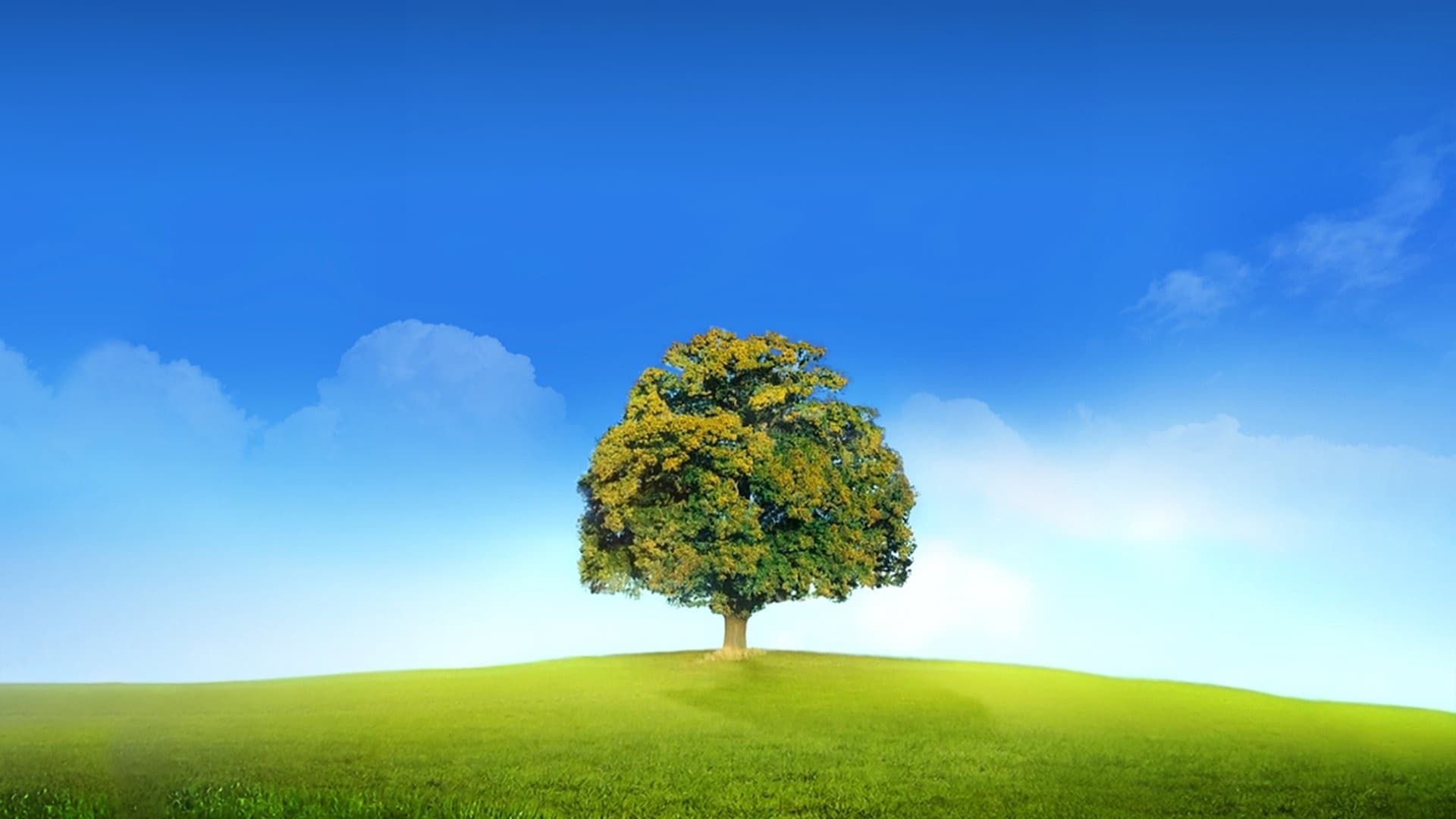 Who Do You Think You Are? Background