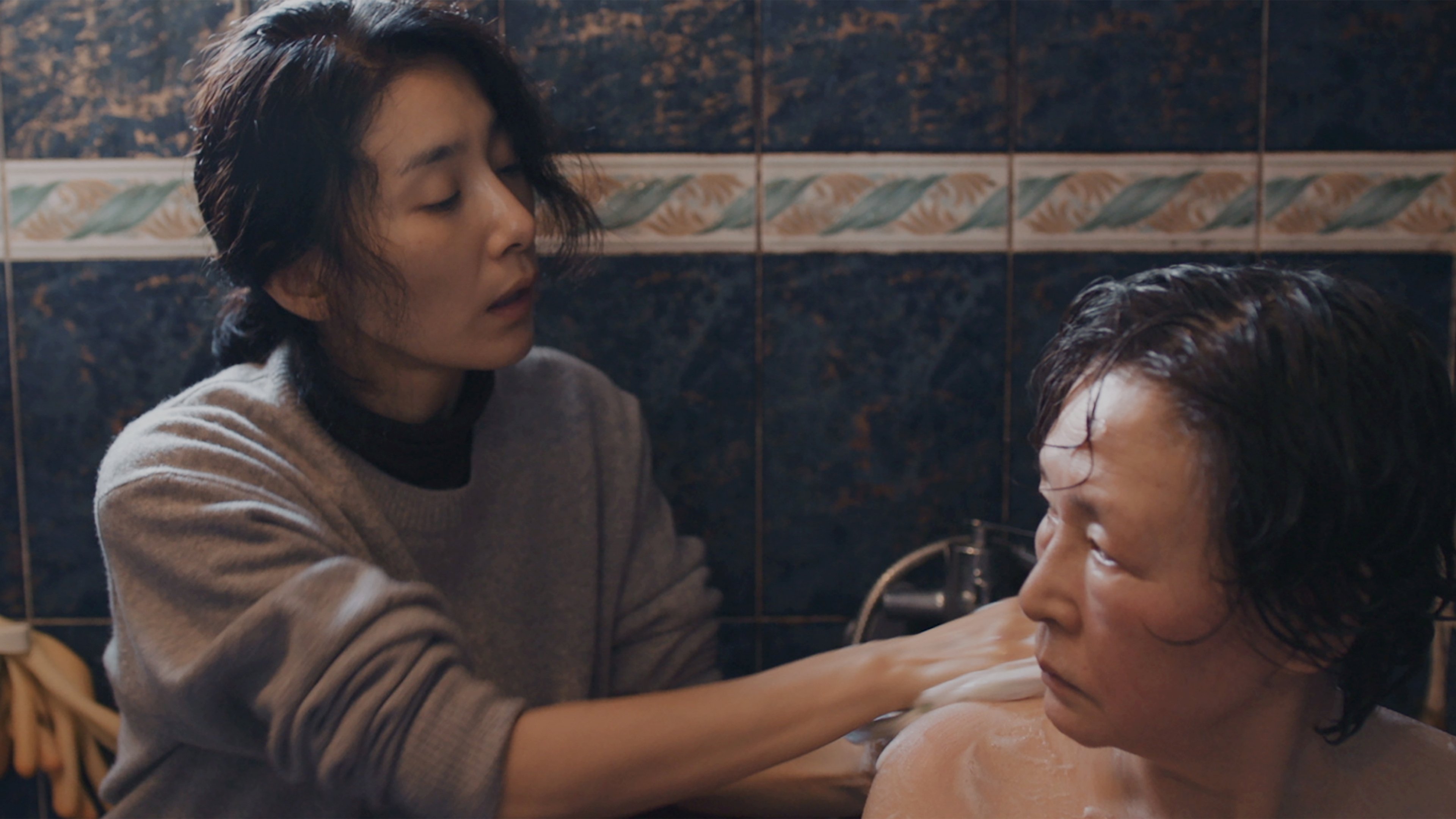 Greenhouse Background