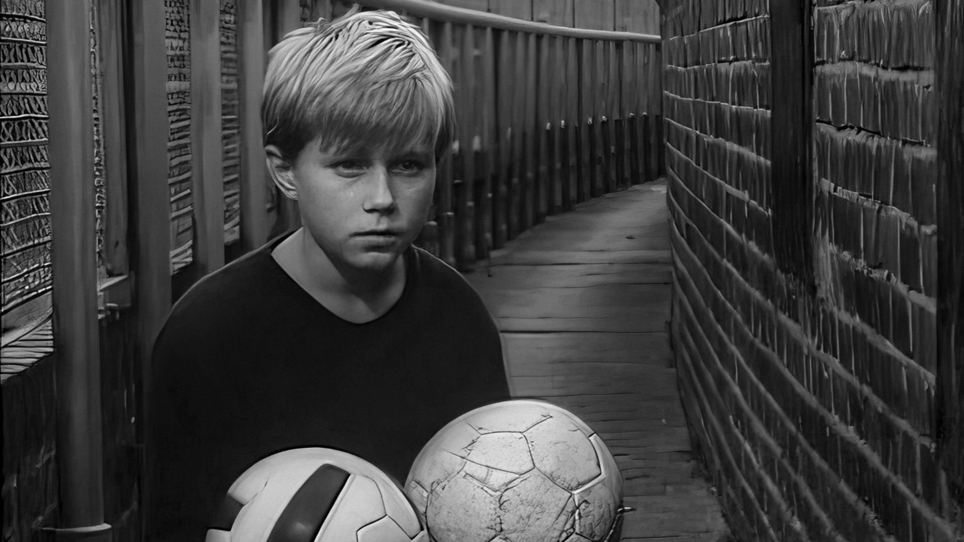 Shoot Paragon! Background