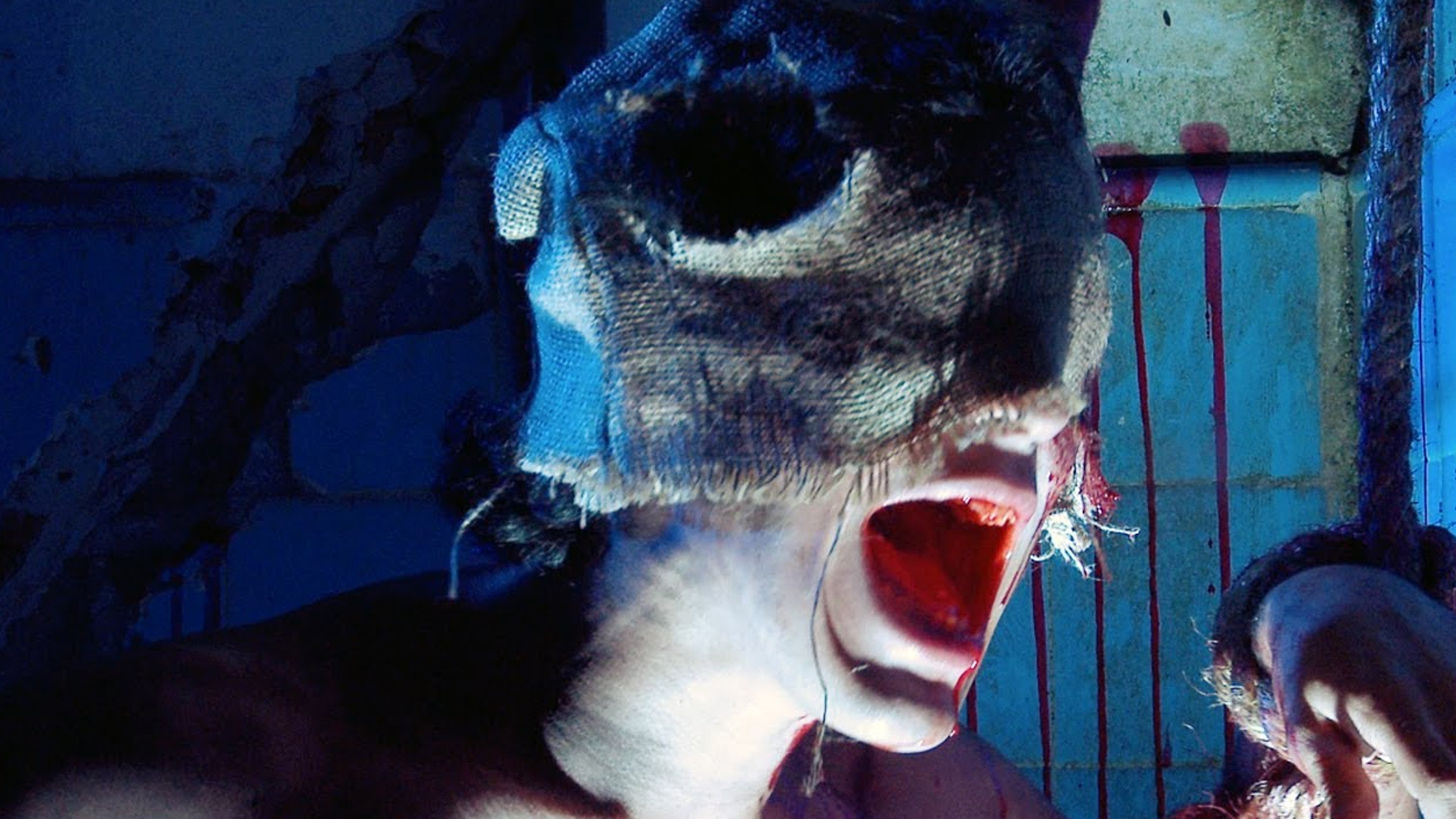 El bosque de los sometidos Background