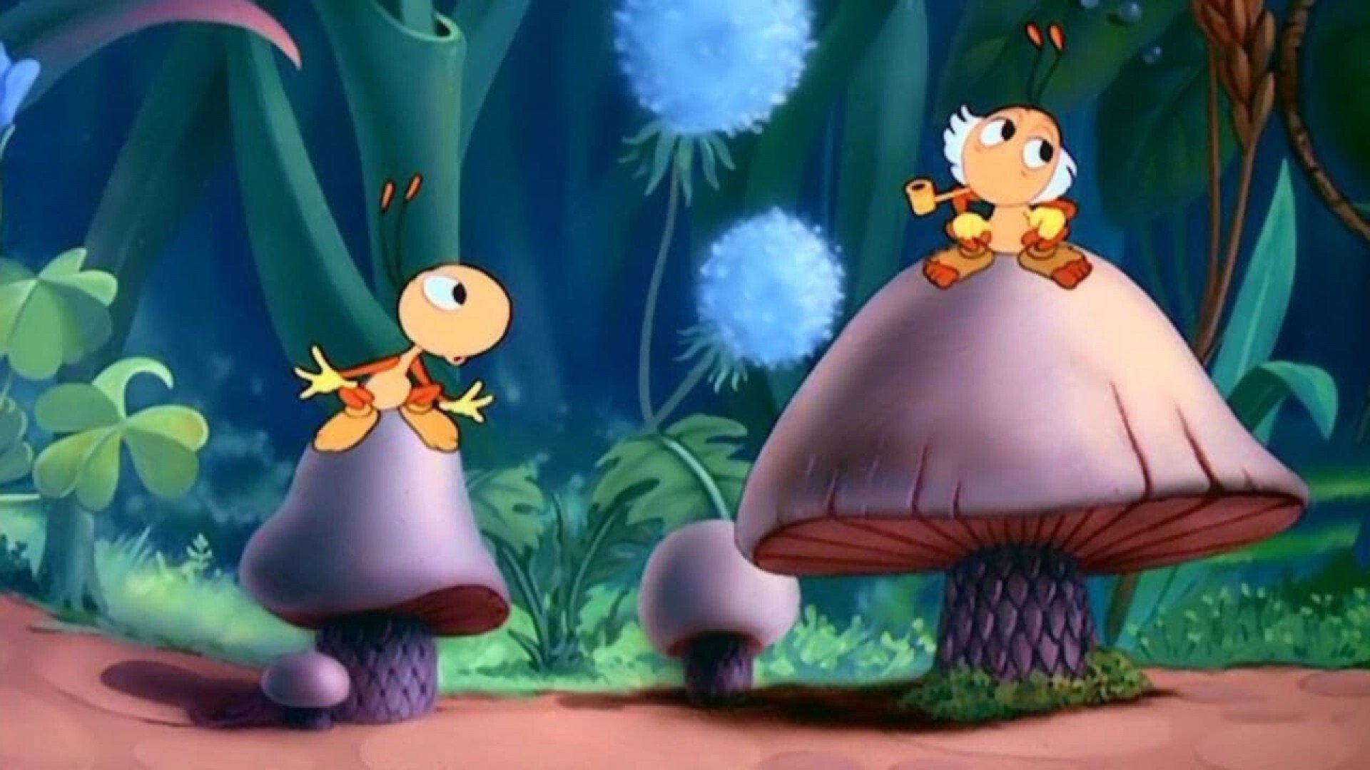 Bootle Beetle Background