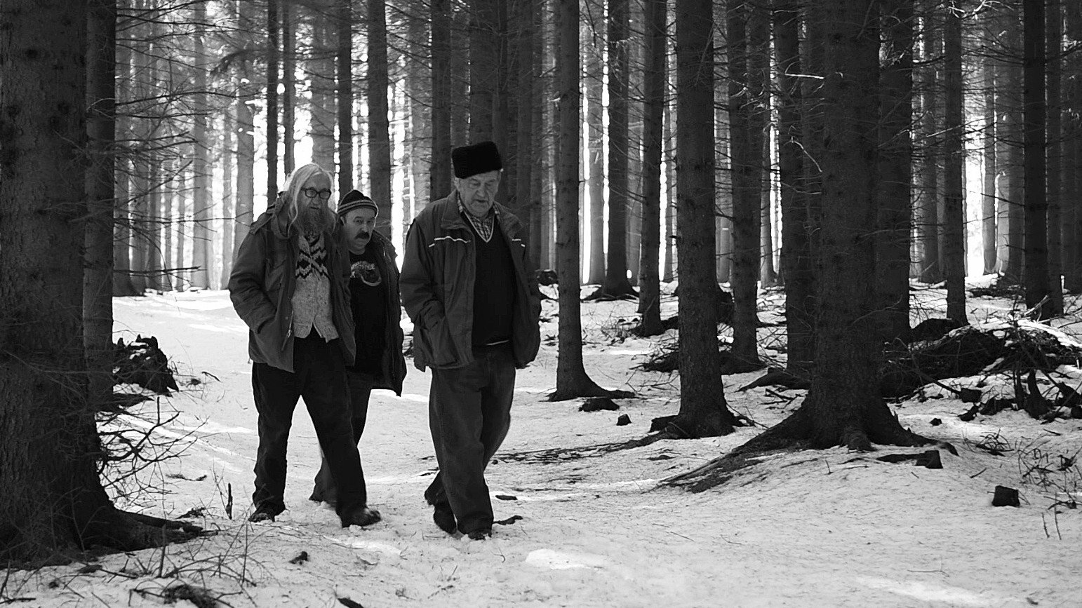 Odborný dohled nad výkladem snu Background