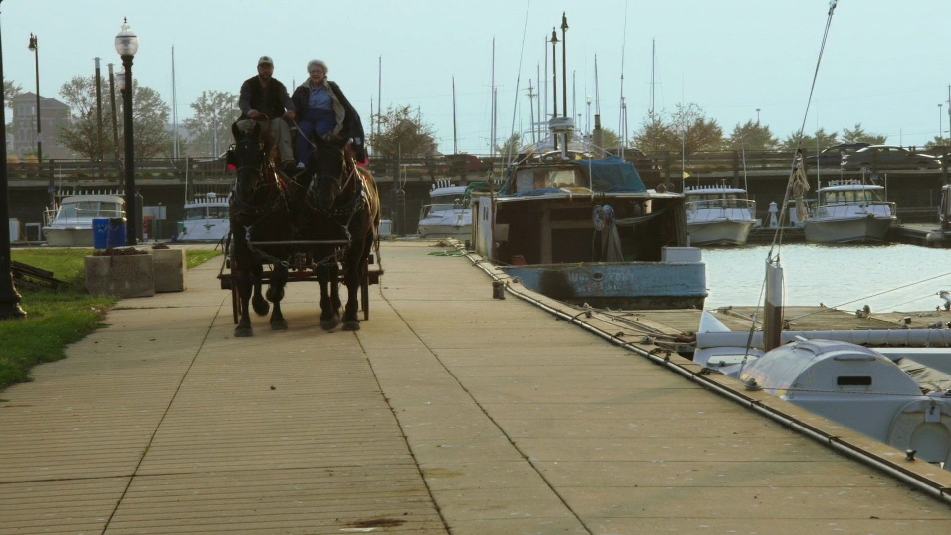 Before The Border Background