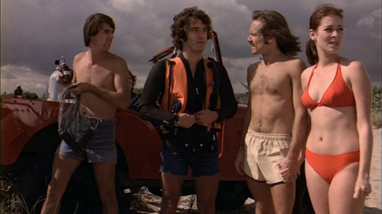 Barracuda Background