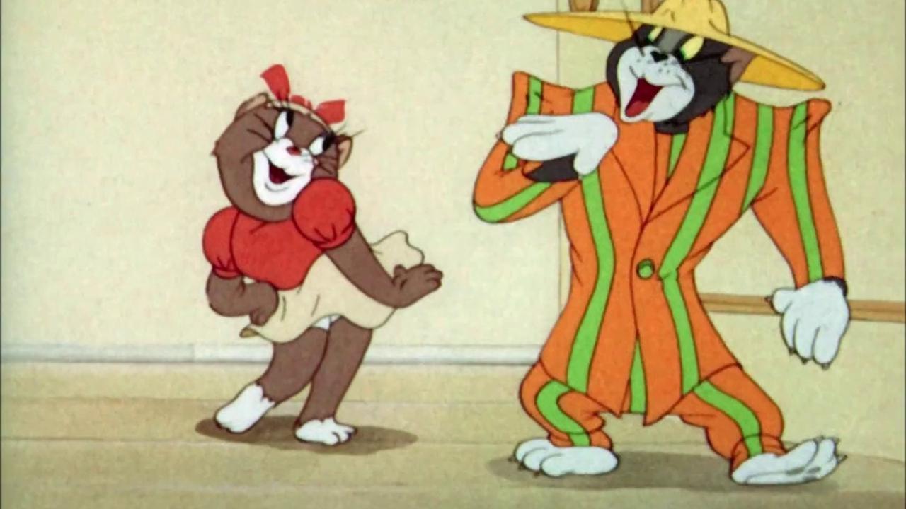 The Zoot Cat Background