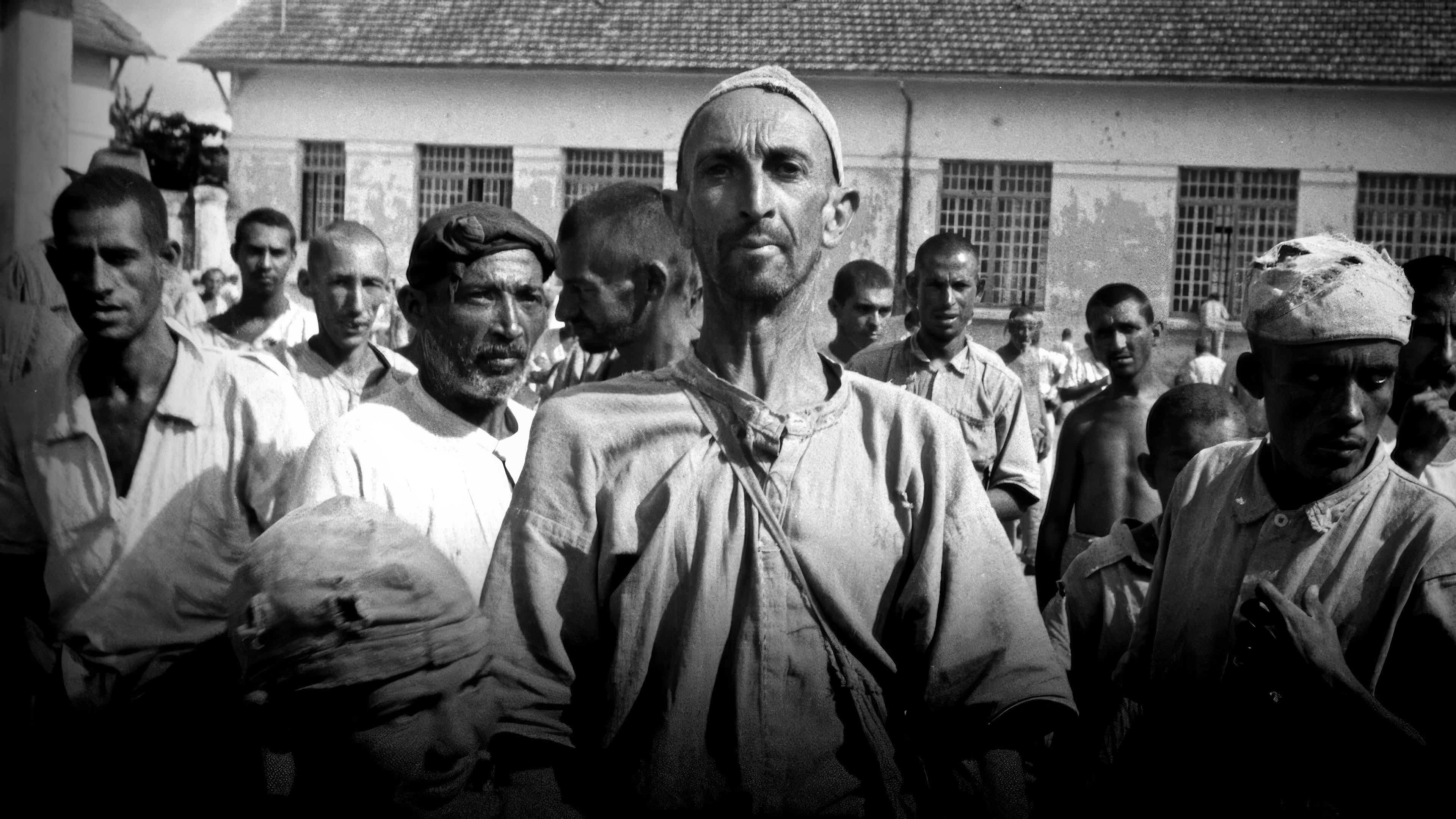 Brazilian Holocaust Background