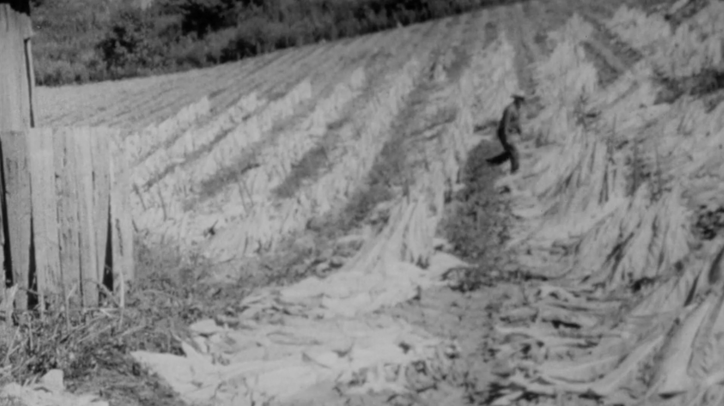 The End of an Old Song Background