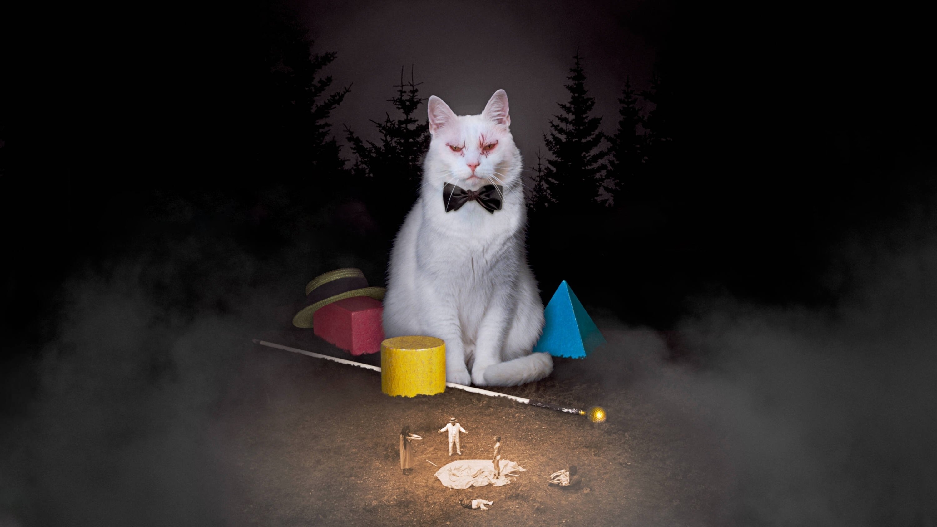 Koko-di Koko-da Background