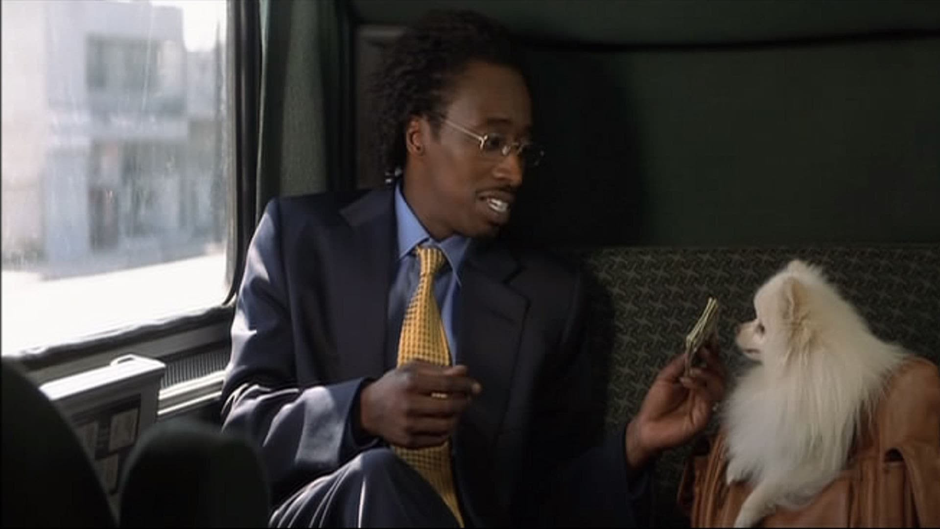 Double Take Background