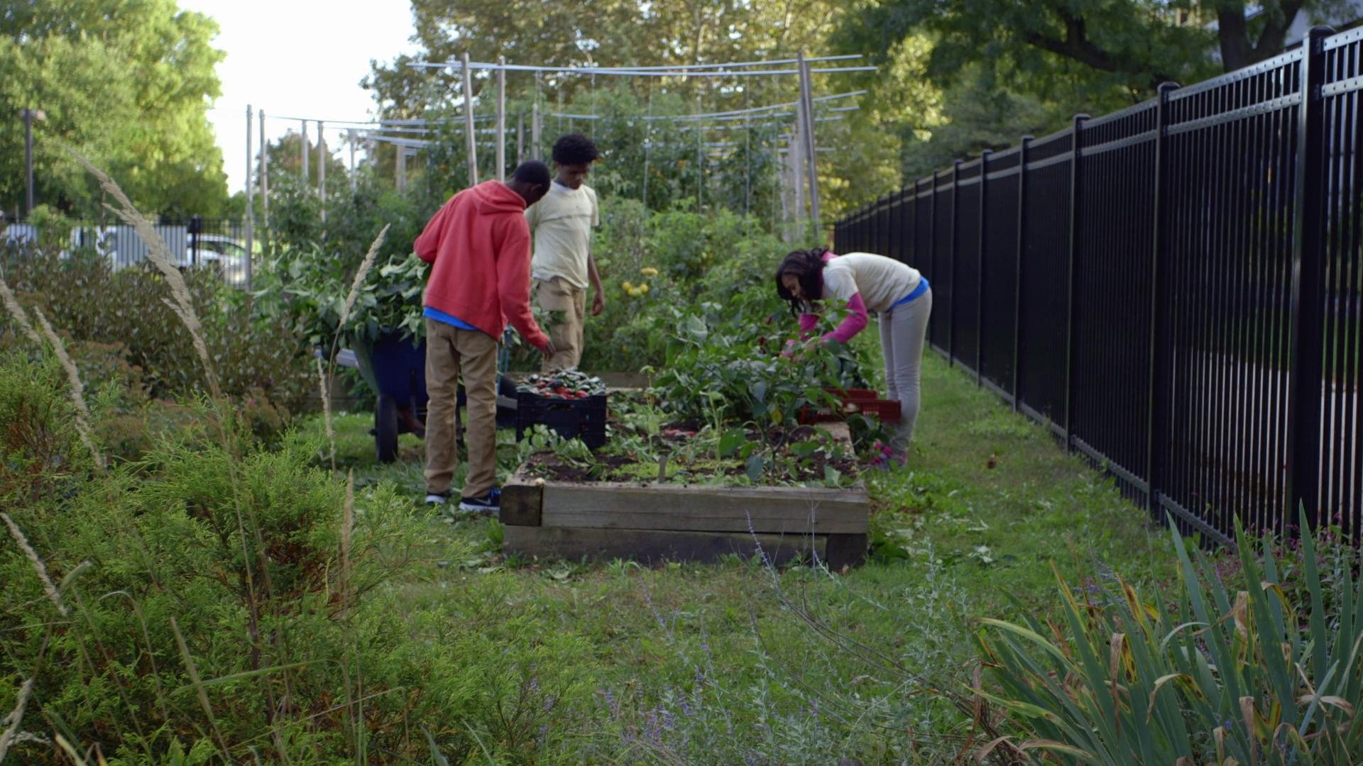The Kids Menu Background