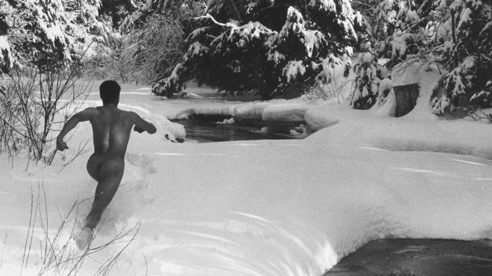 Hallelujah the Hills Background