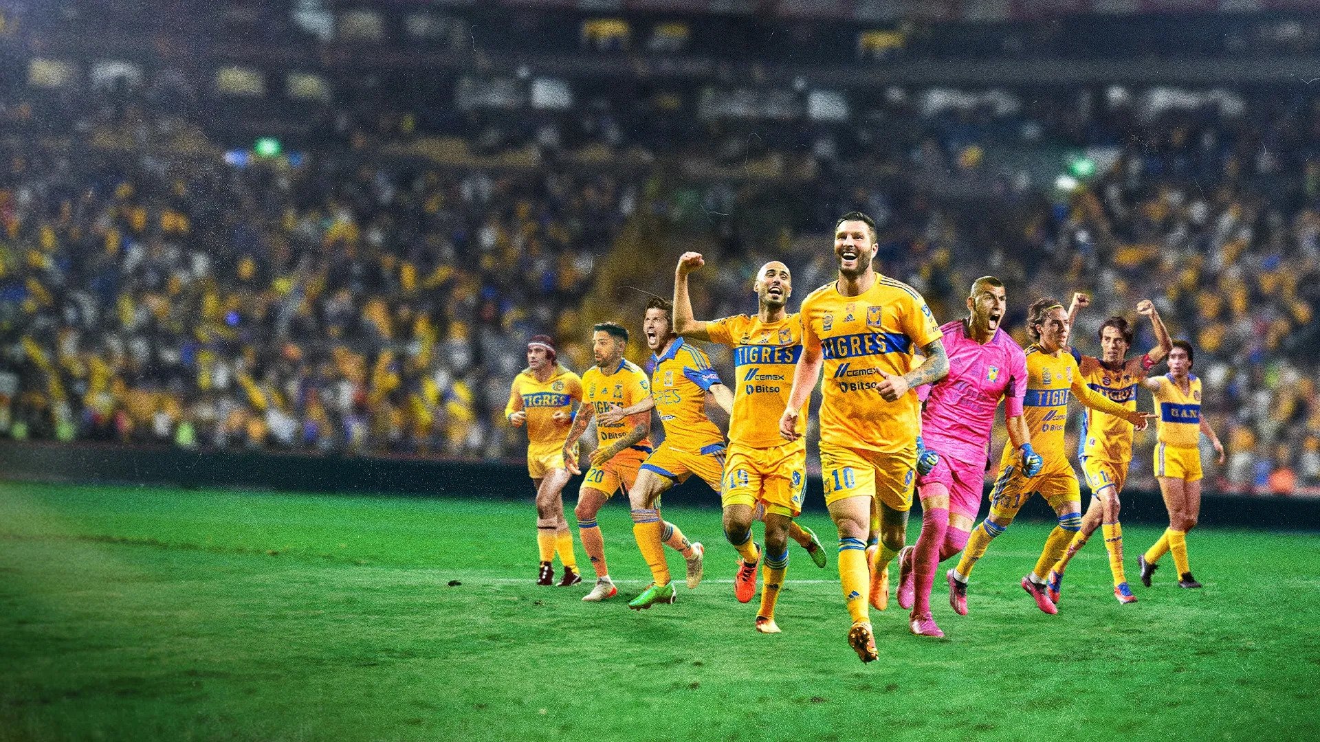 Tigres: La historia perfecta Background