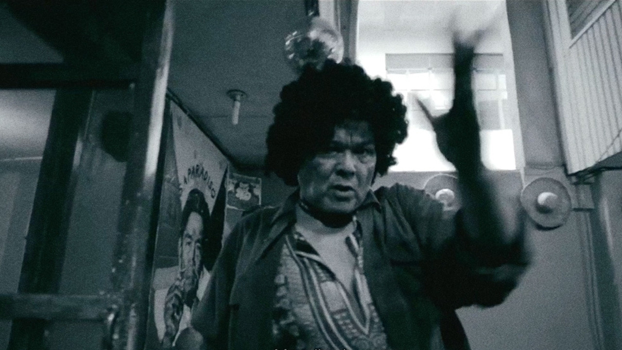 Bamboo Dogs Background