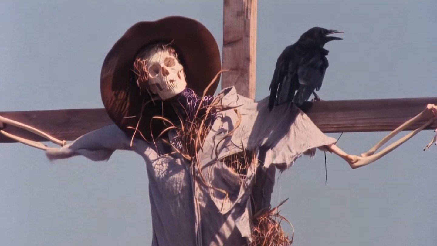 Disciples of the Crow Background