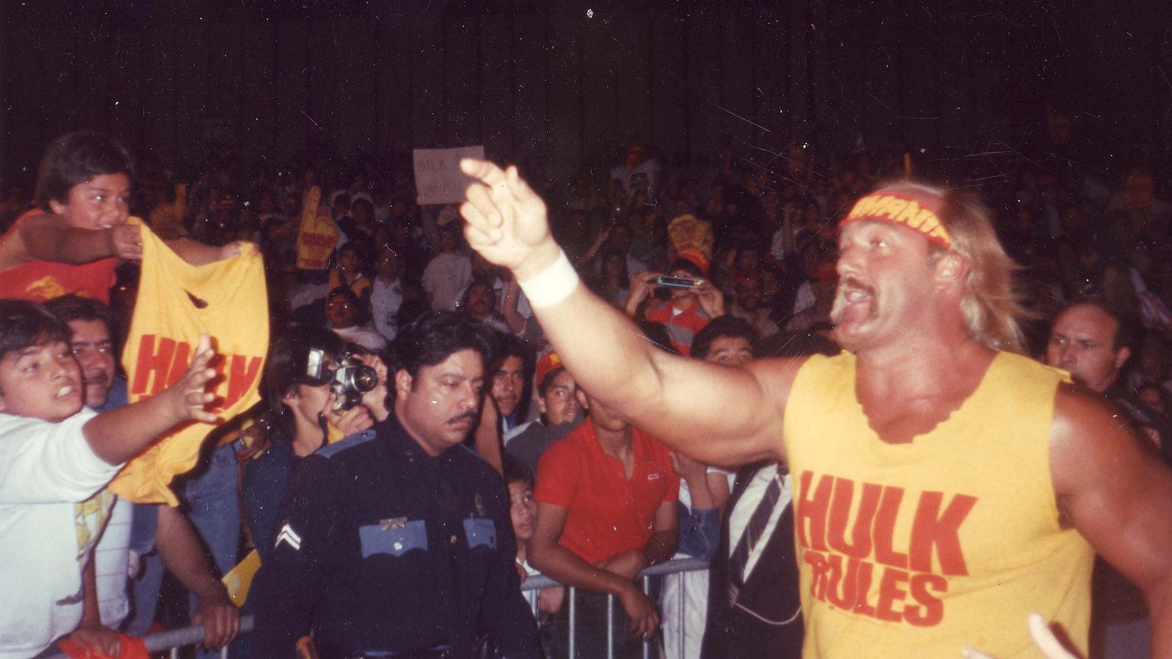WWE: Hulk Hogan: The Ultimate Anthology Background