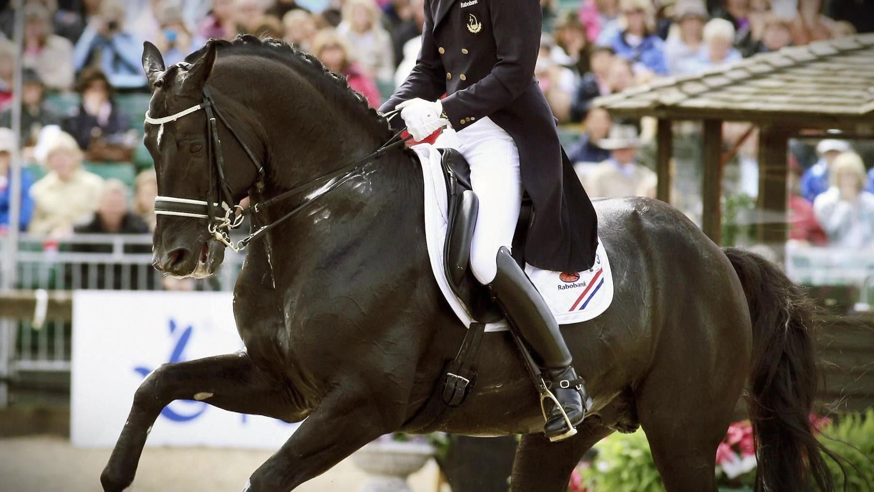 Totilas - The Million Dollar Business With The Horse of The Century Background