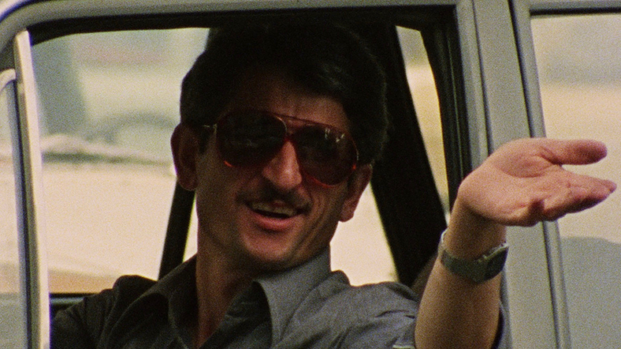 Fellow Citizen Background