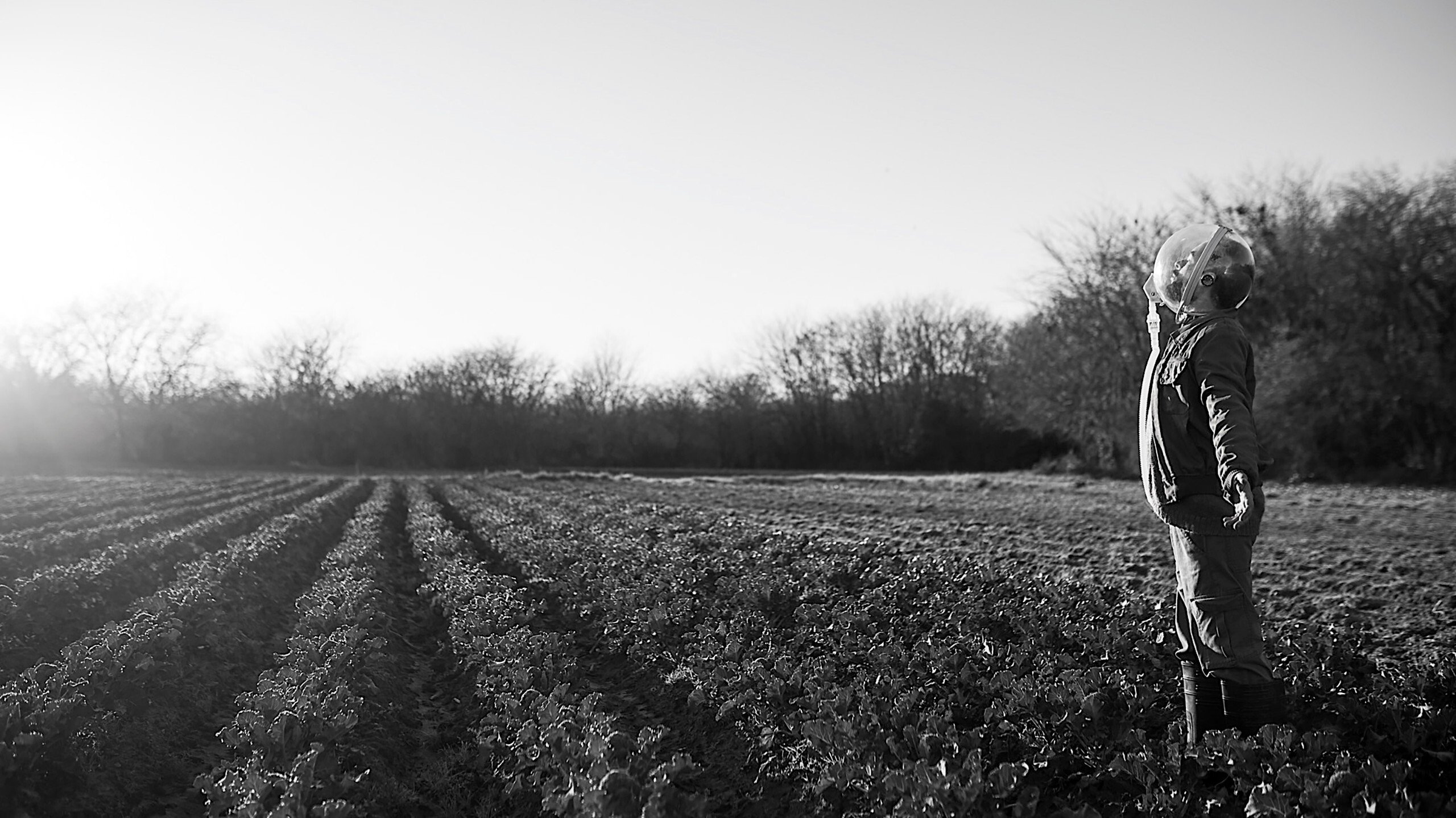 El perro que no calla Background