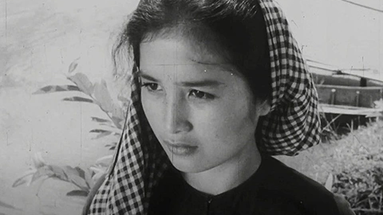 Mrs. Tư Hậu Background