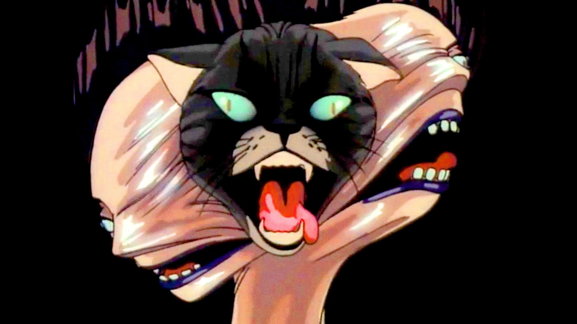 Lily C.A.T. Background