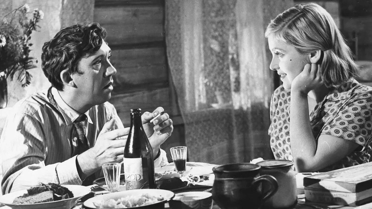 When the Trees Were Tall Background